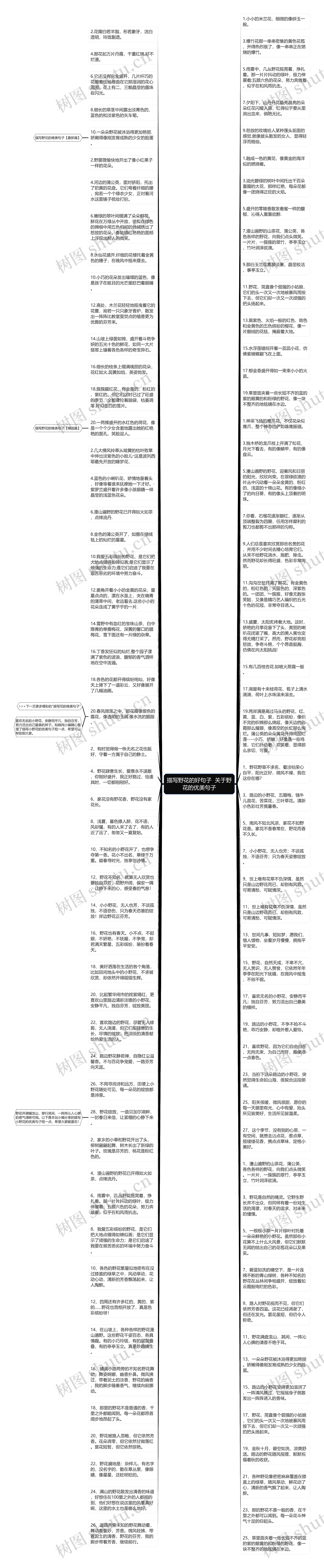 描写野花的好句子  关于野花的优美句子思维导图