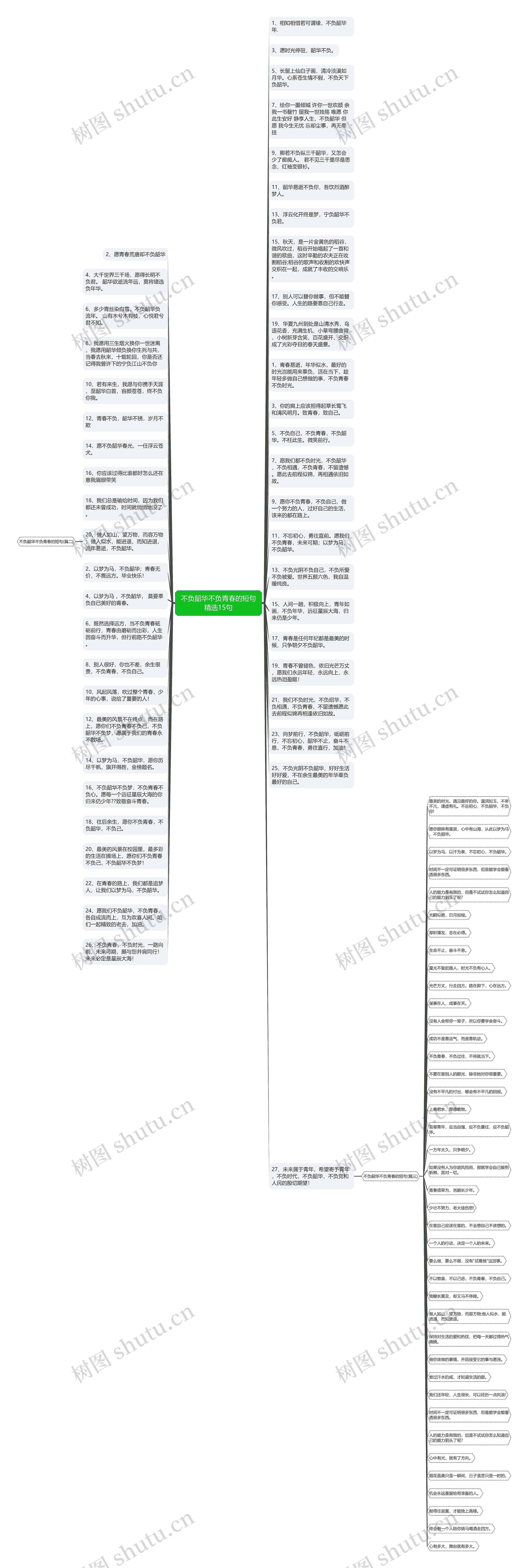 不负韶华不负青春的短句精选15句思维导图