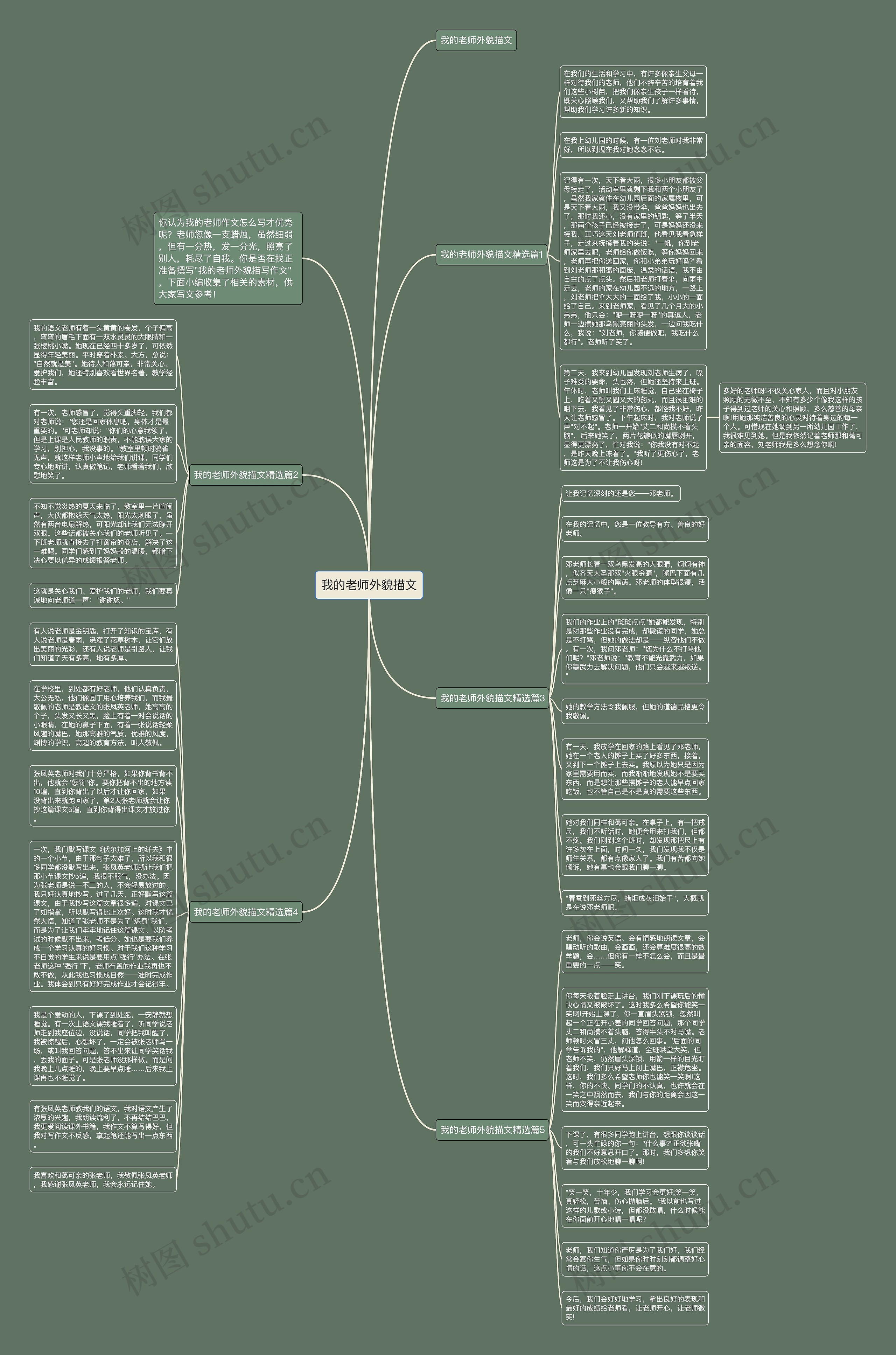 我的老师外貌描文思维导图