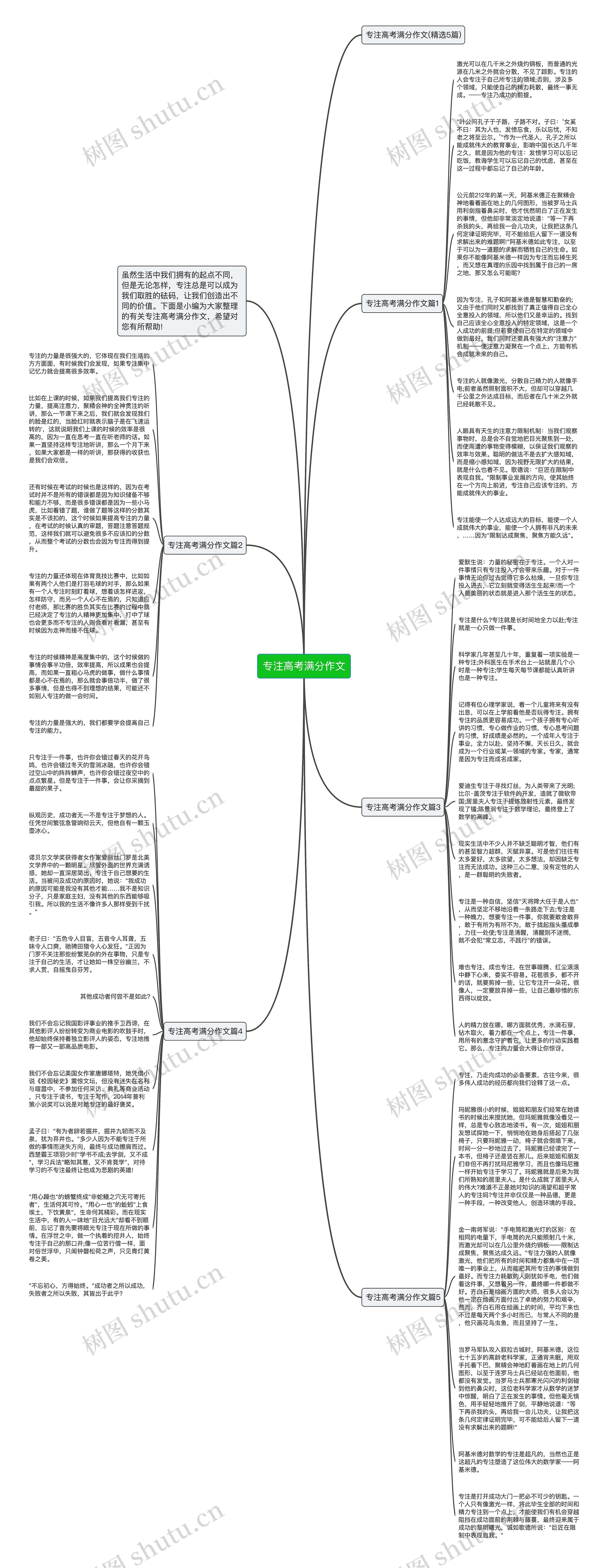 专注高考满分作文