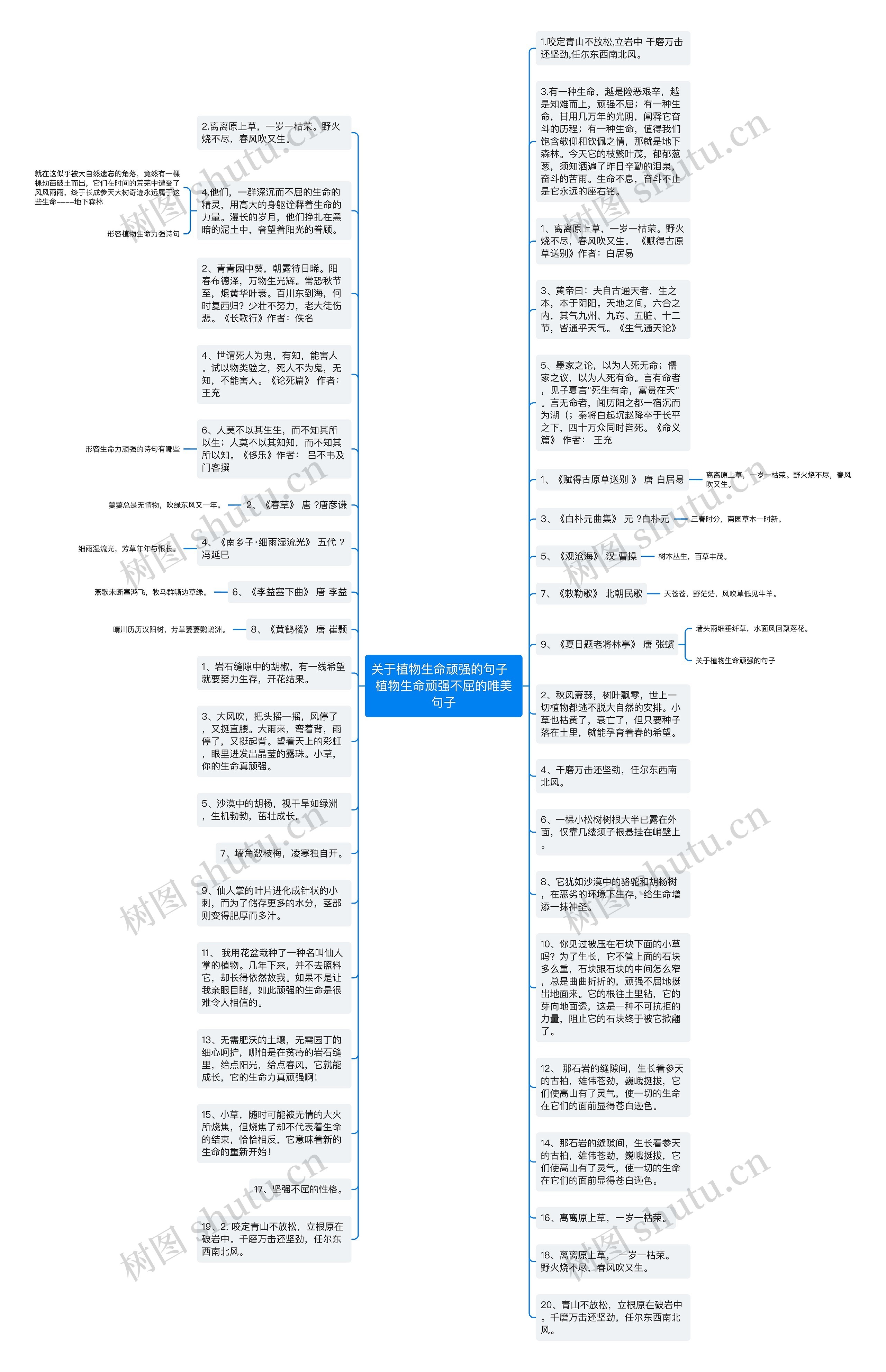 关于植物生命顽强的句子  植物生命顽强不屈的唯美句子思维导图