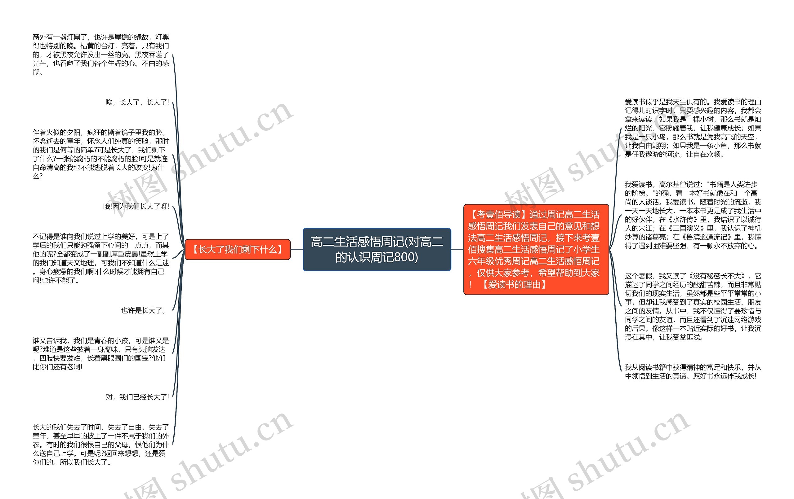 高二生活感悟周记(对高二的认识周记800)思维导图