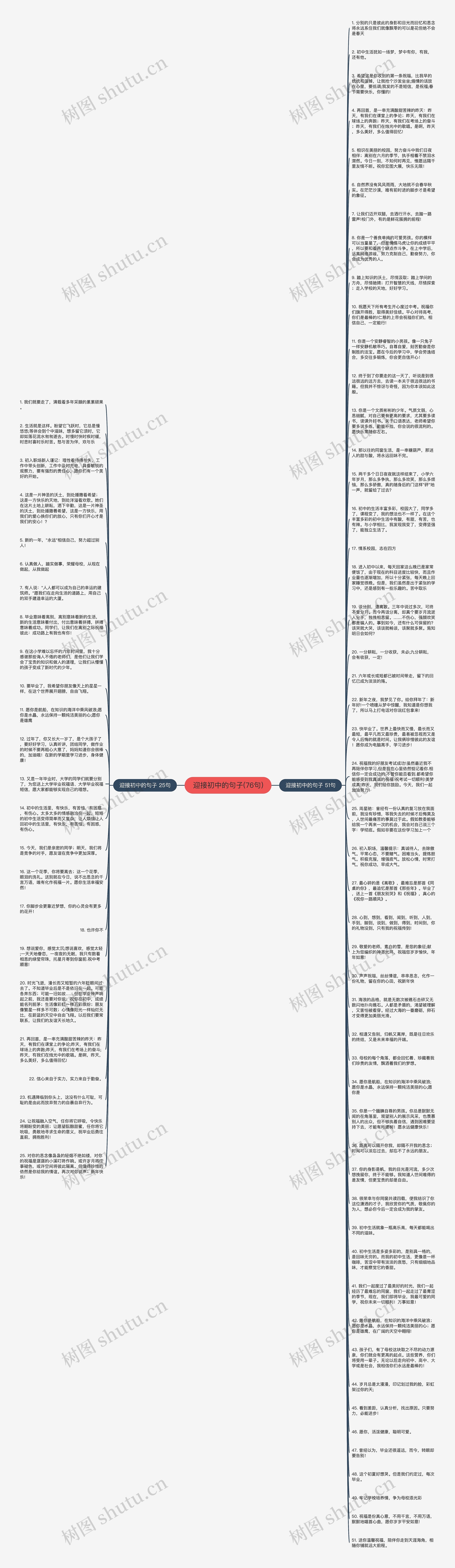 迎接初中的句子(76句)思维导图