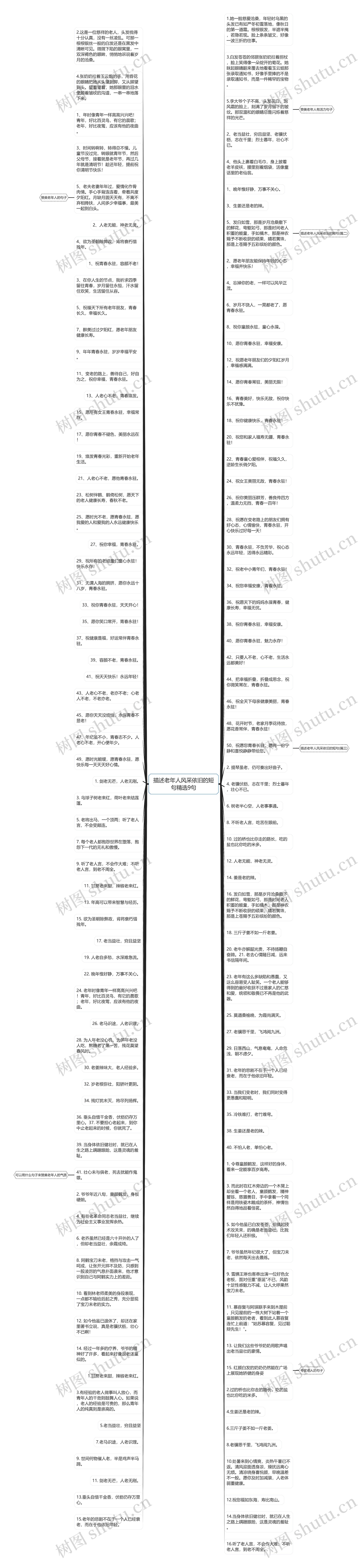 描述老年人风采依旧的短句精选9句思维导图