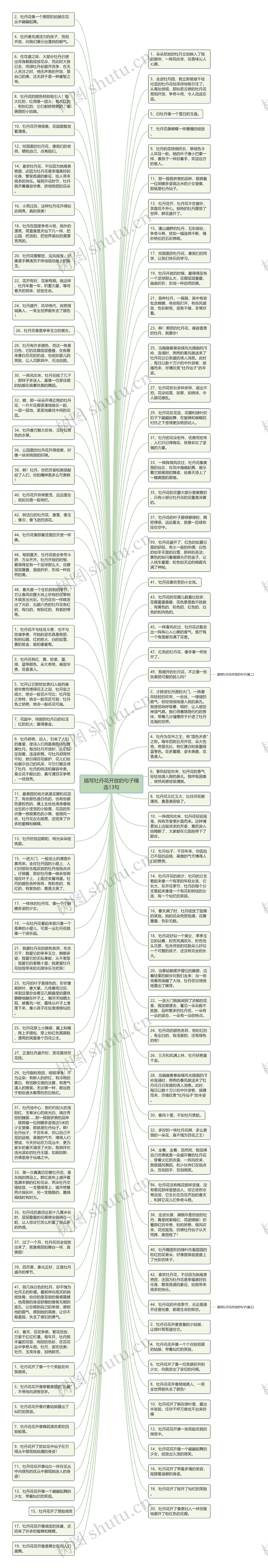 描写牡丹花开放的句子精选13句思维导图