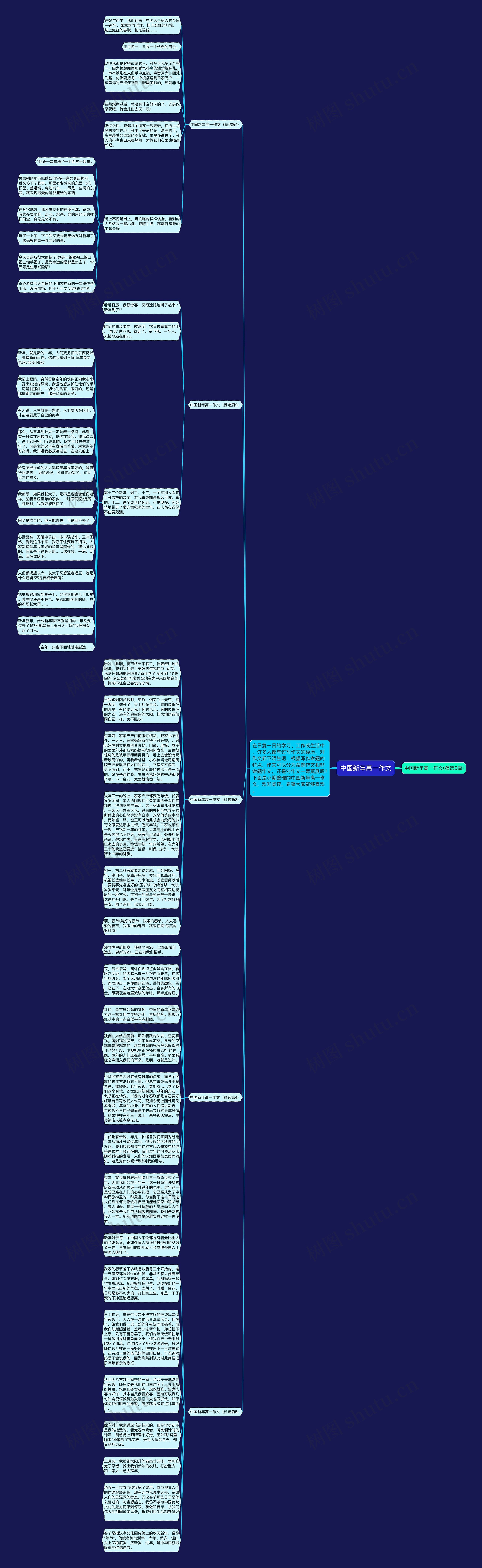 中国新年高一作文思维导图