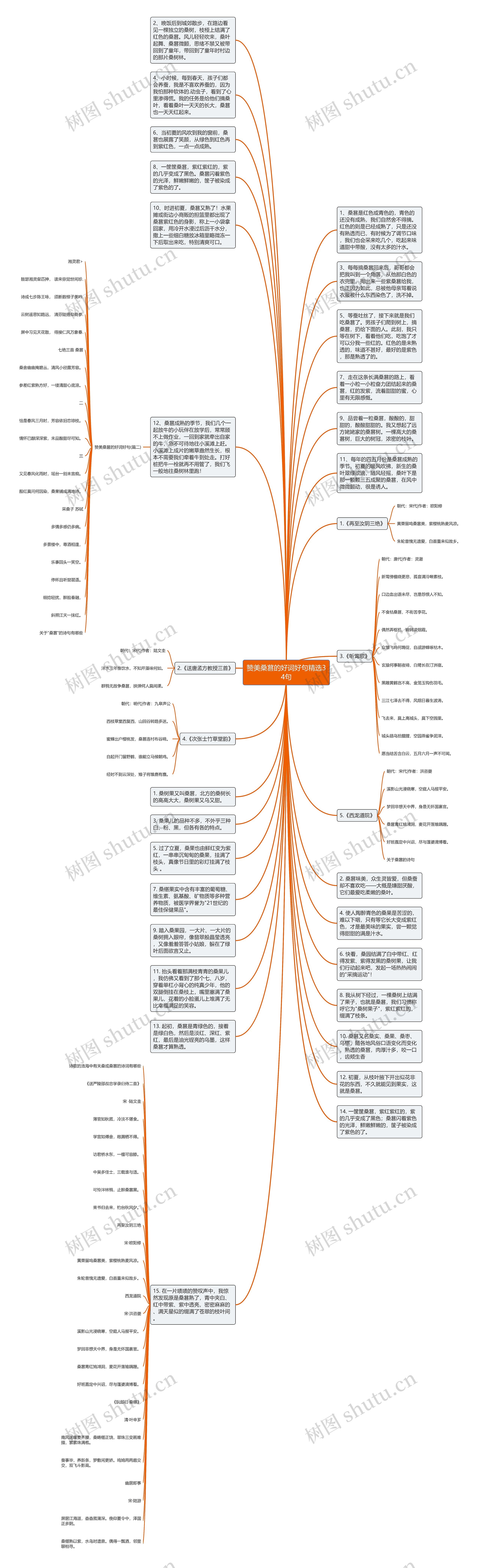 赞美桑葚的好词好句精选34句思维导图