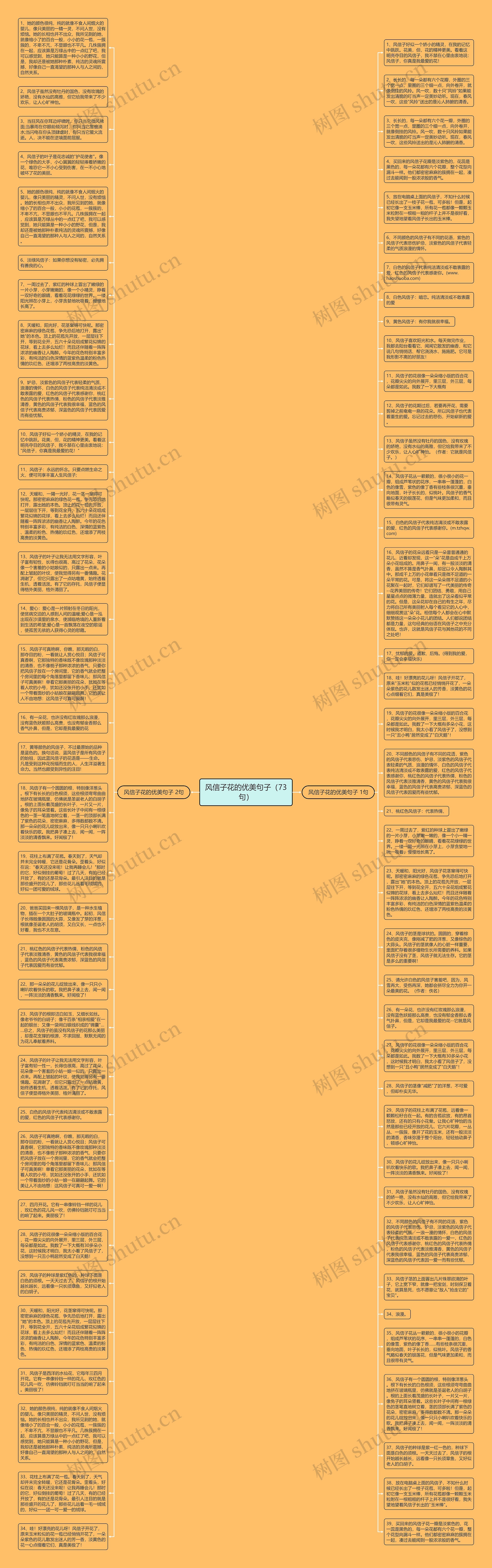 风信子花的优美句子（73句）