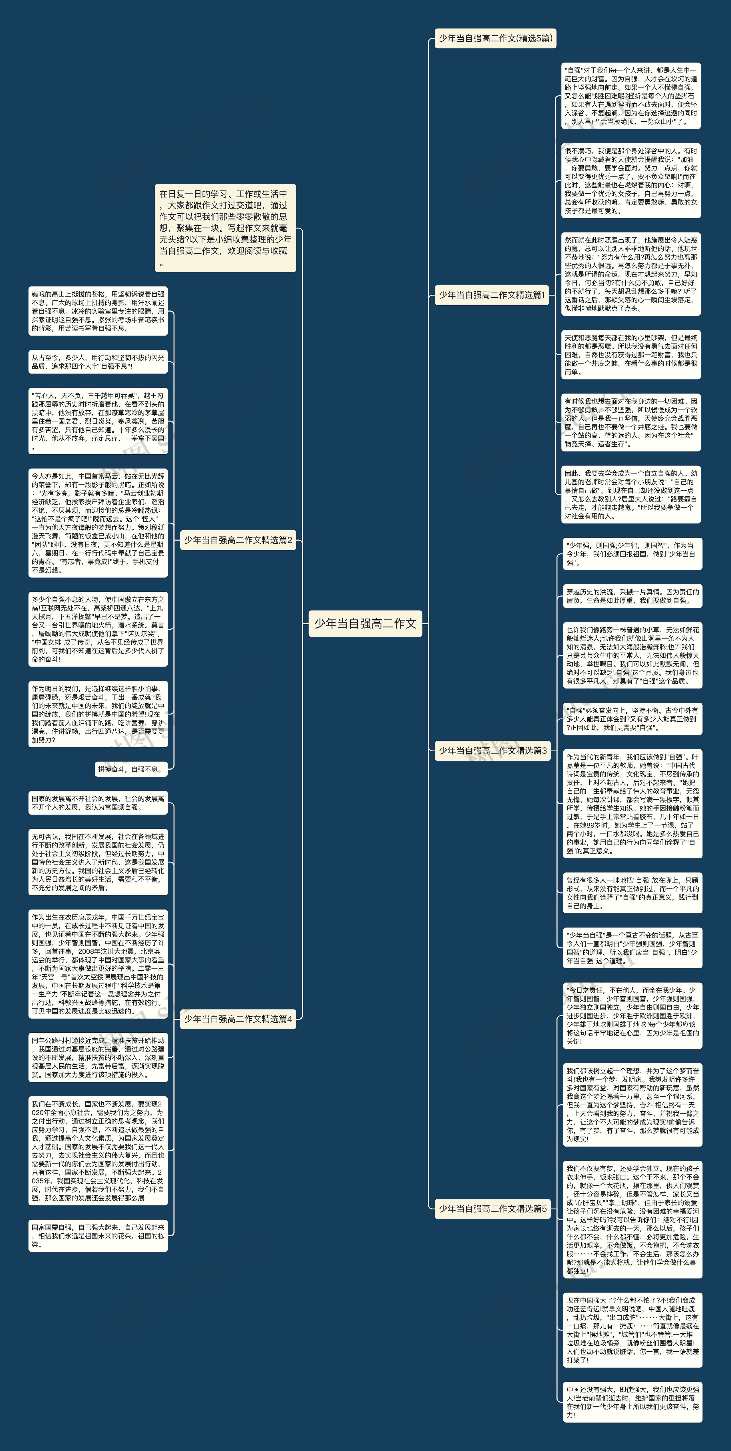 少年当自强高二作文思维导图