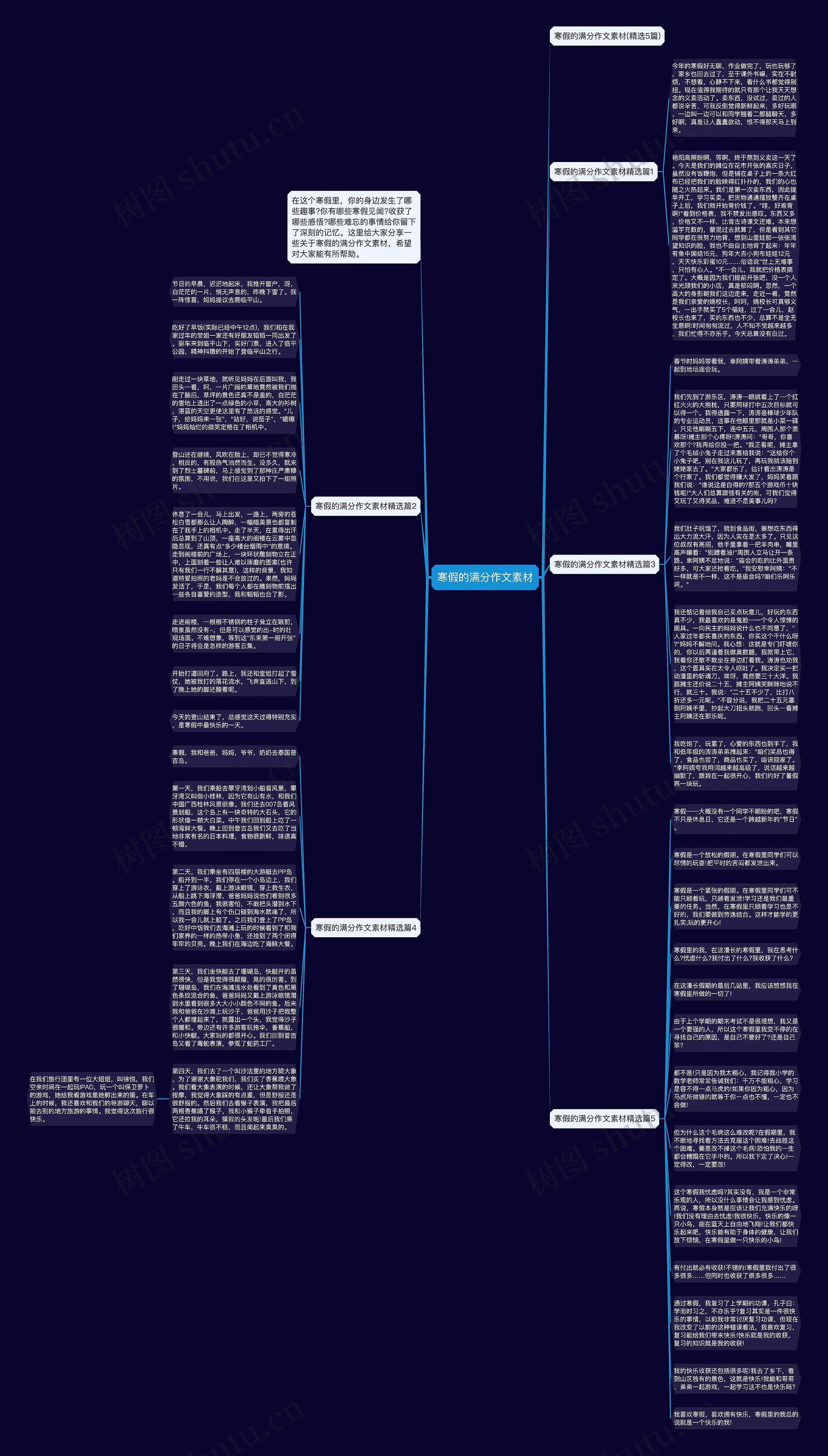 寒假的满分作文素材思维导图