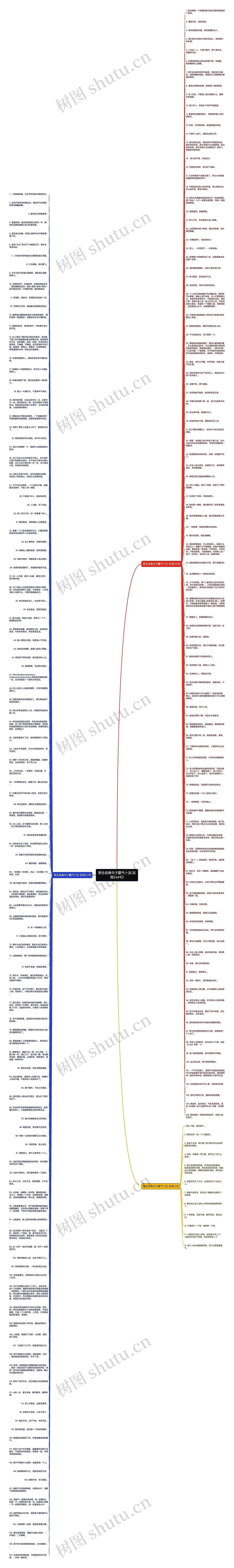 男生经典句子霸气十足(实用244句)思维导图