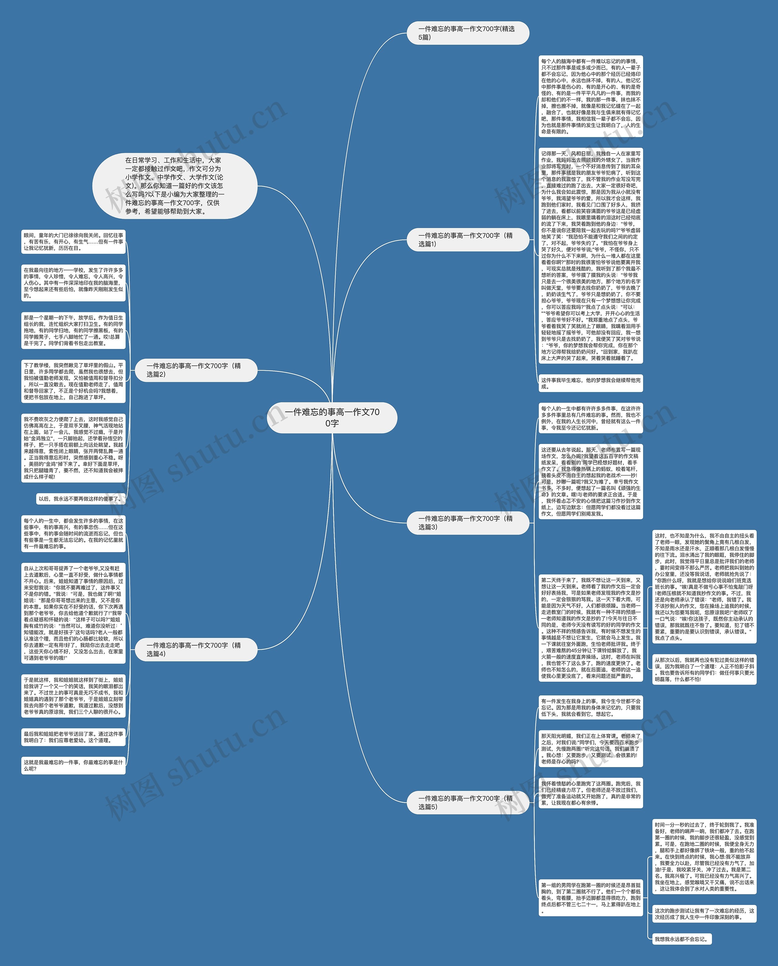 一件难忘的事高一作文700字思维导图