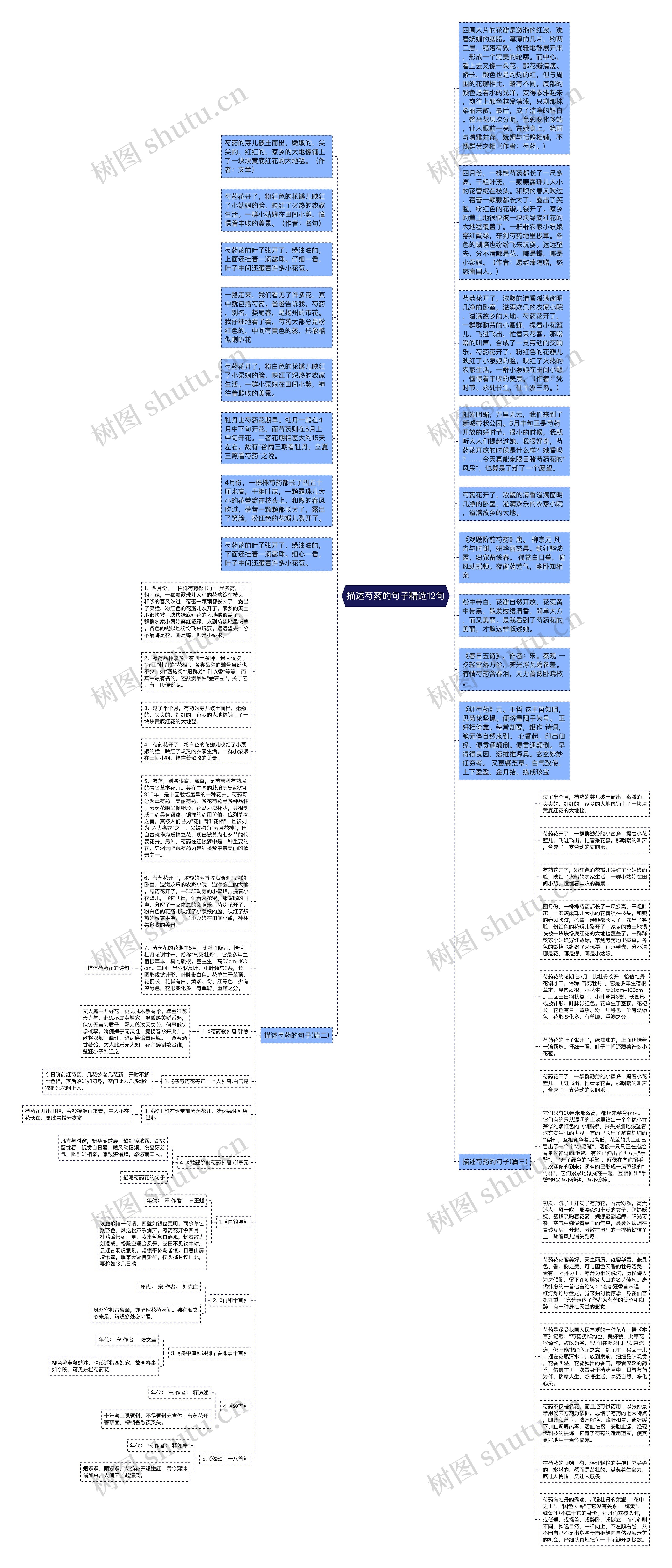 描述芍药的句子精选12句思维导图
