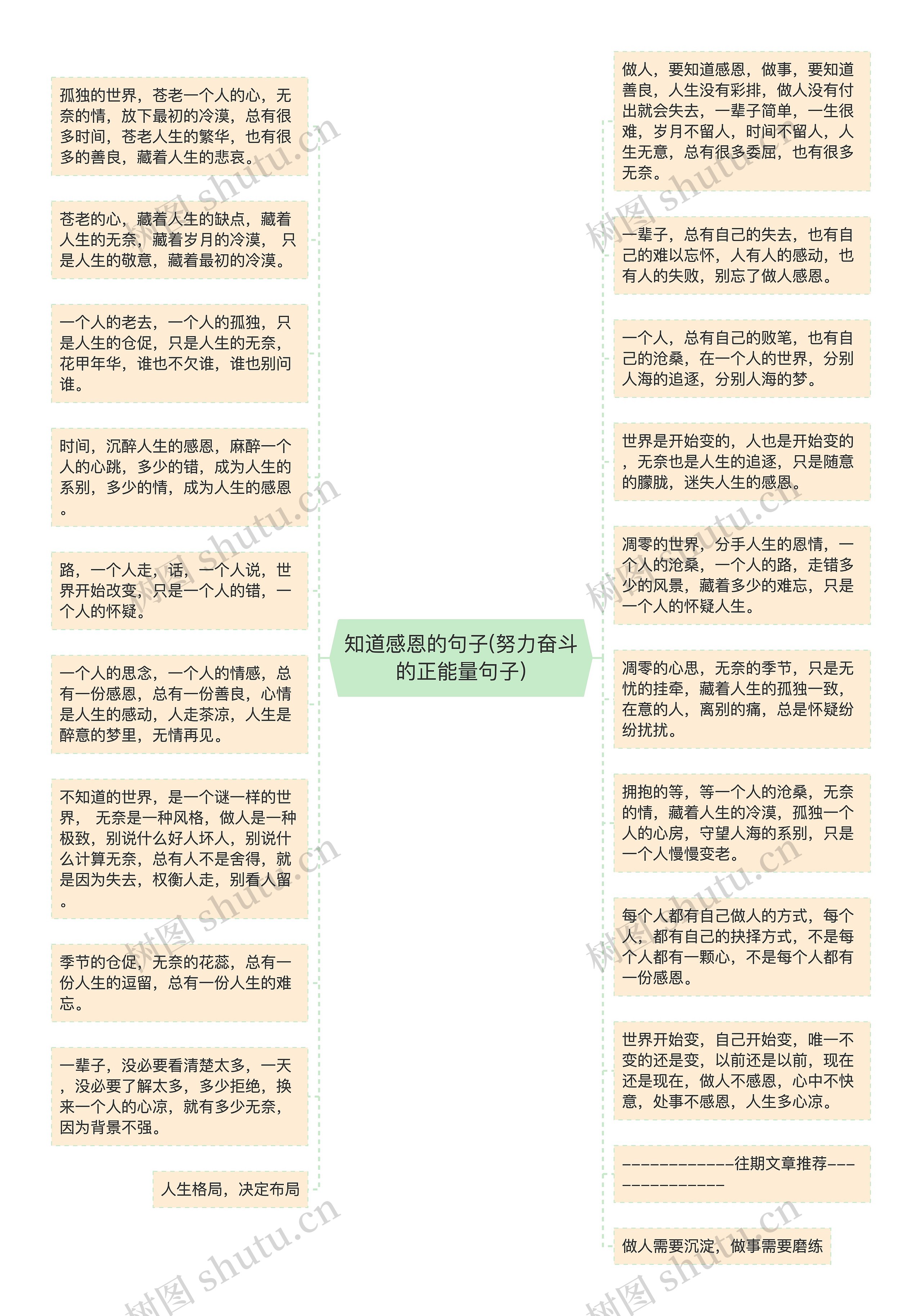 知道感恩的句子(努力奋斗的正能量句子)思维导图