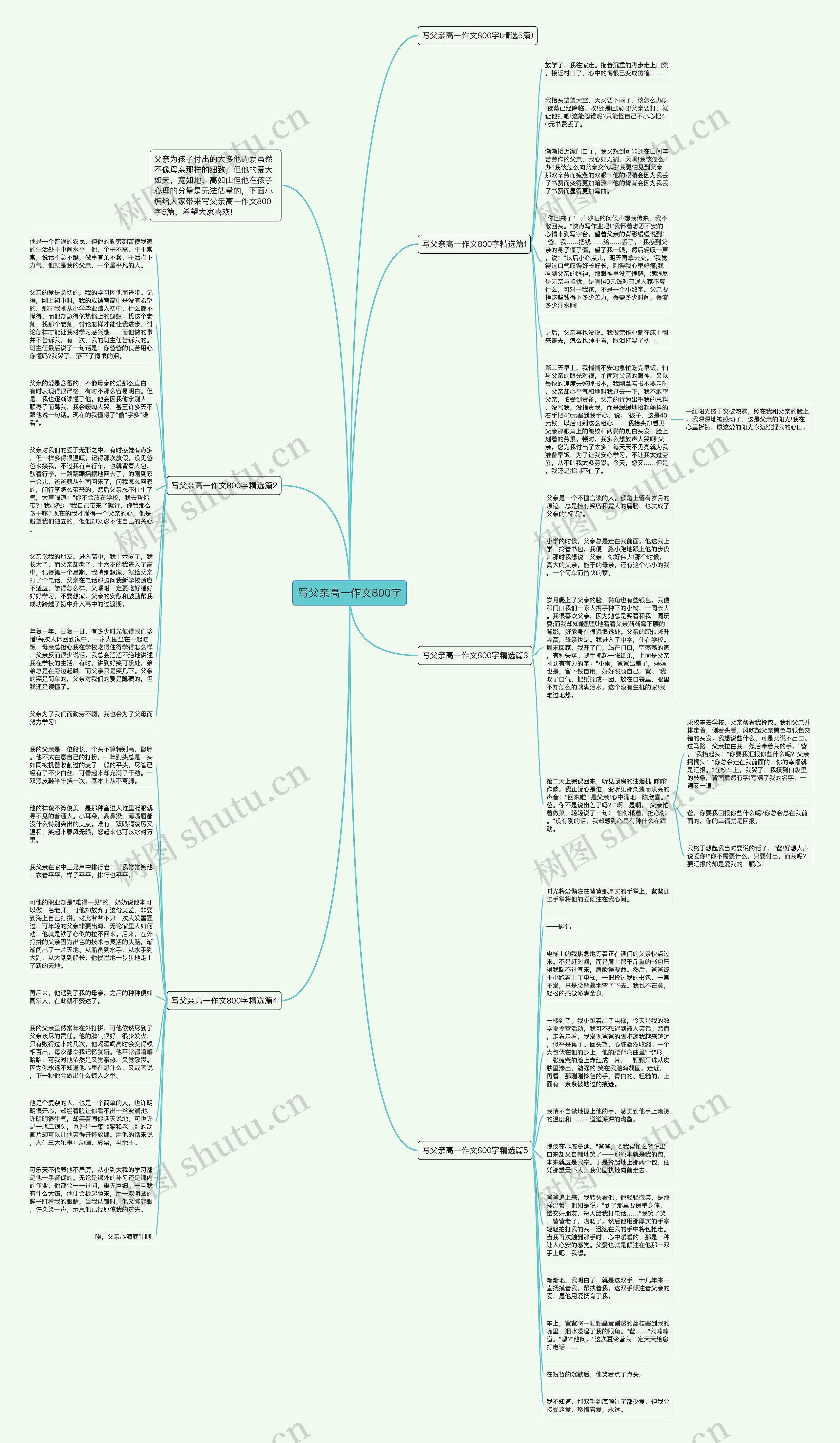 写父亲高一作文800字思维导图