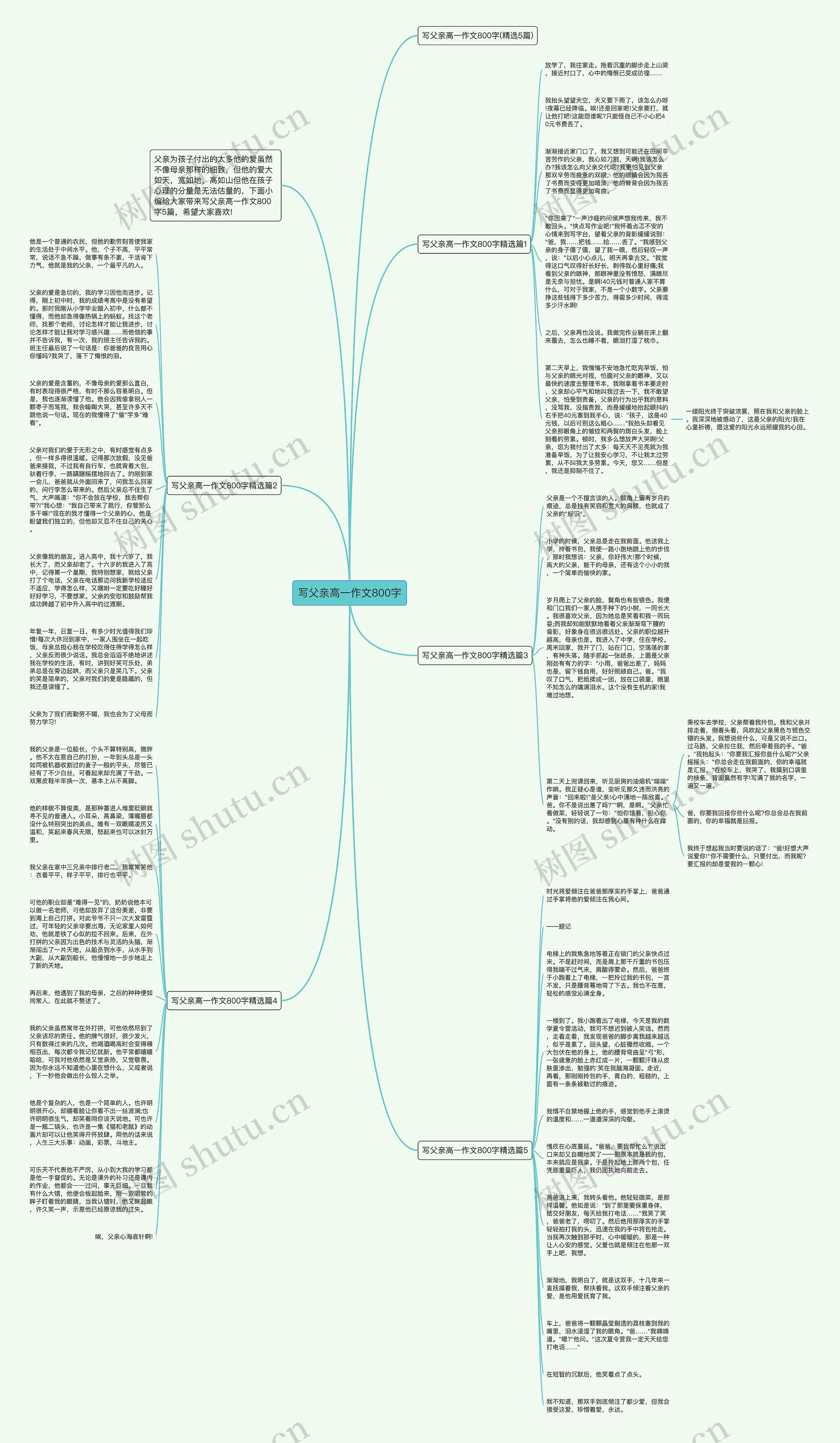 写父亲高一作文800字思维导图高清图 写父亲高一作文800字思维导图