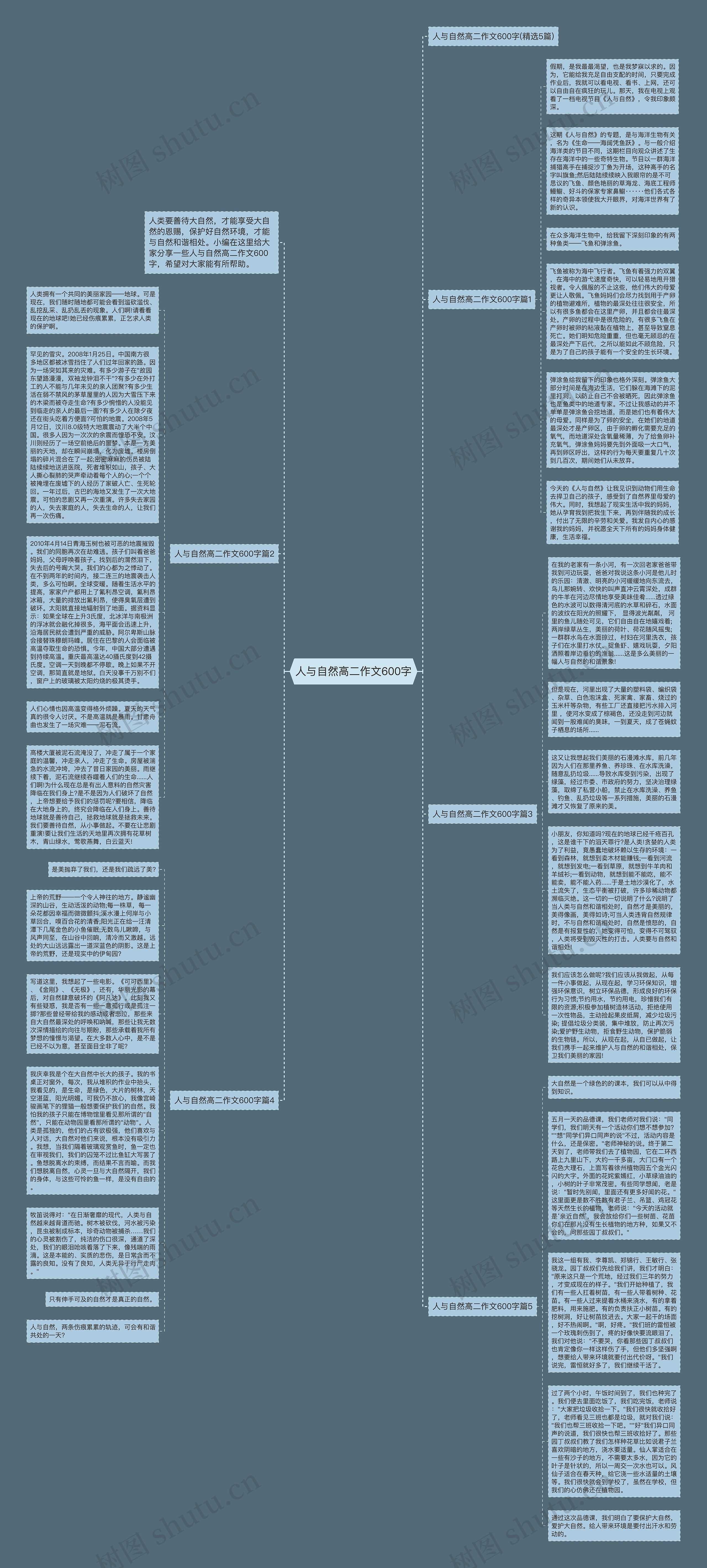 人与自然高二作文600字思维导图