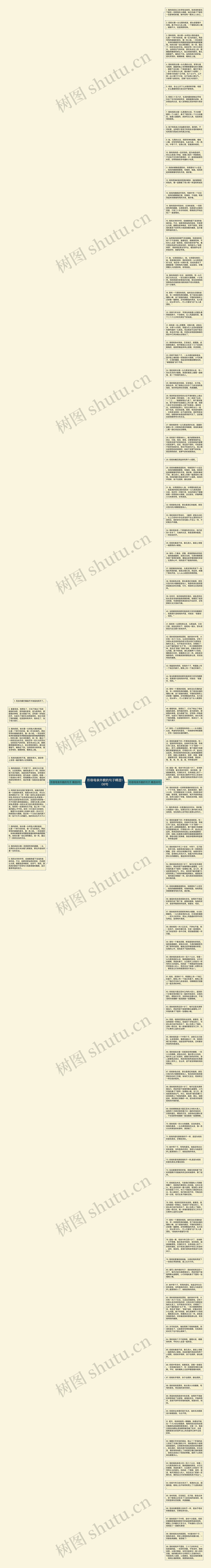 形容母亲外貌的句子精选108句思维导图