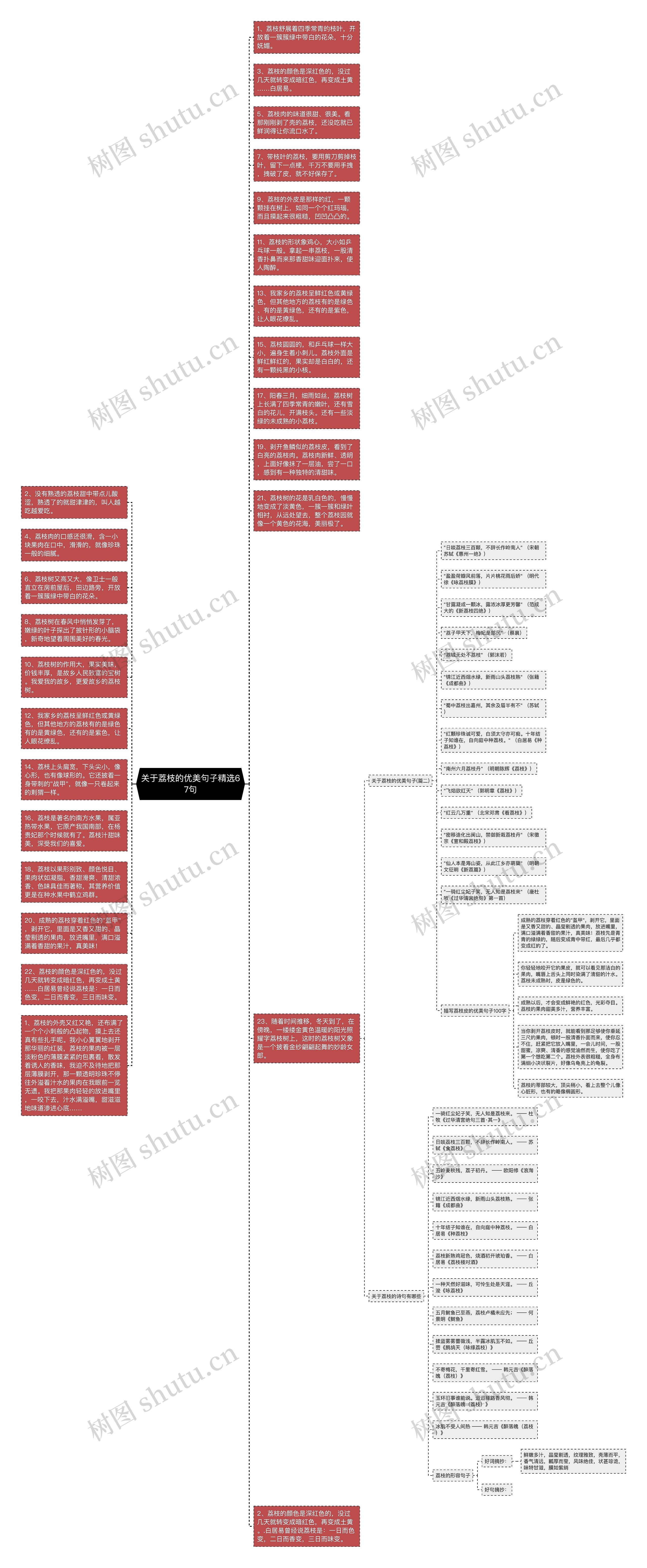 关于荔枝的优美句子精选67句思维导图