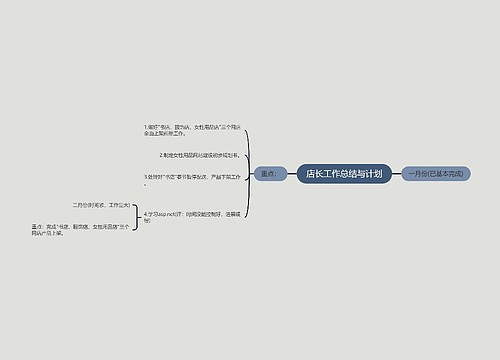 店长工作总结与计划
