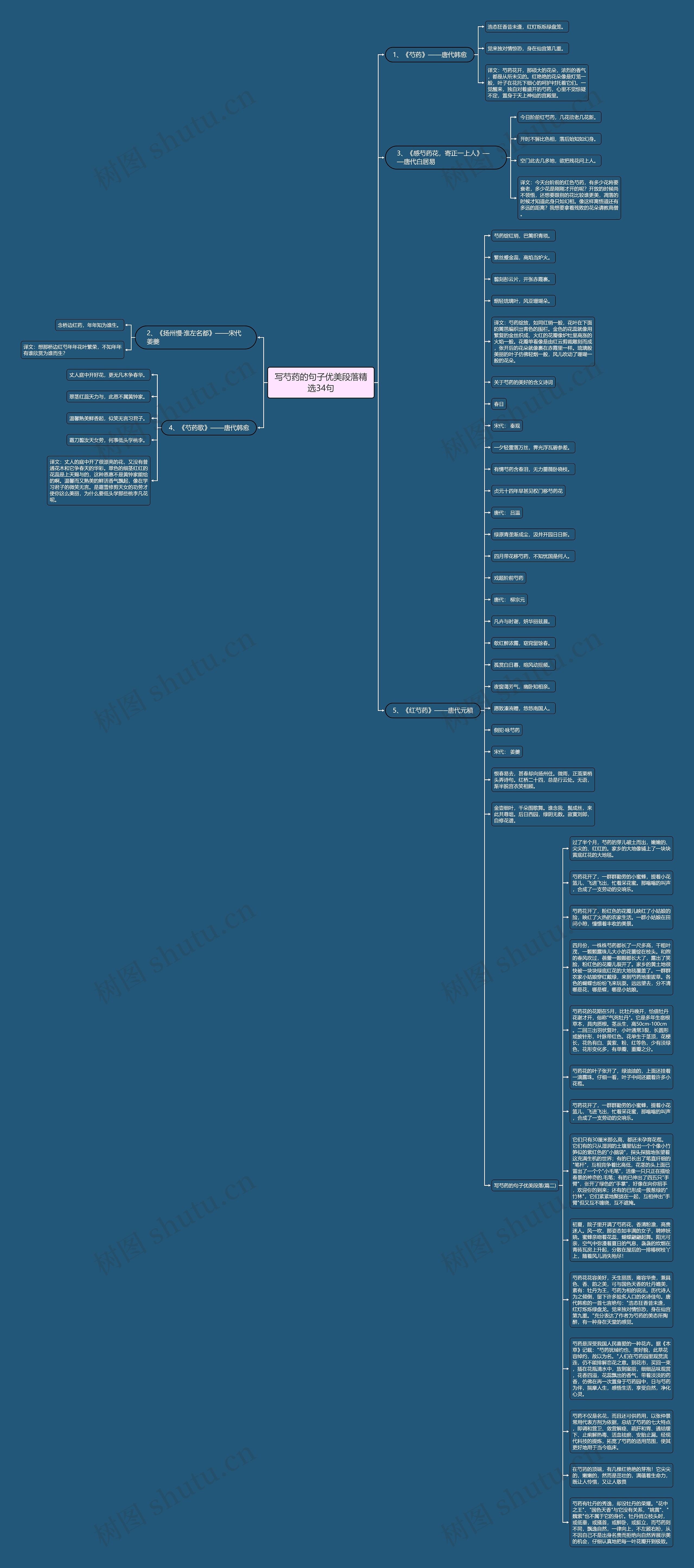 写芍药的句子优美段落精选34句思维导图