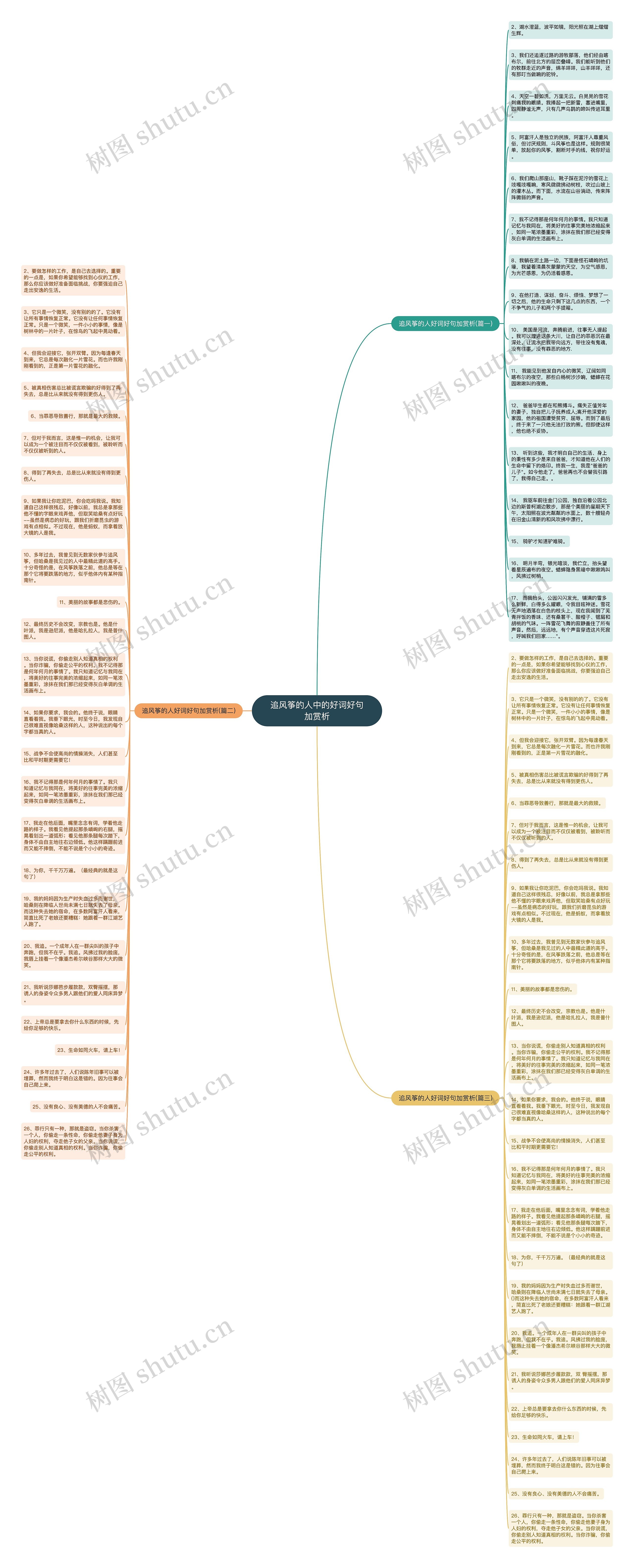 追风筝的人中的好词好句加赏析思维导图