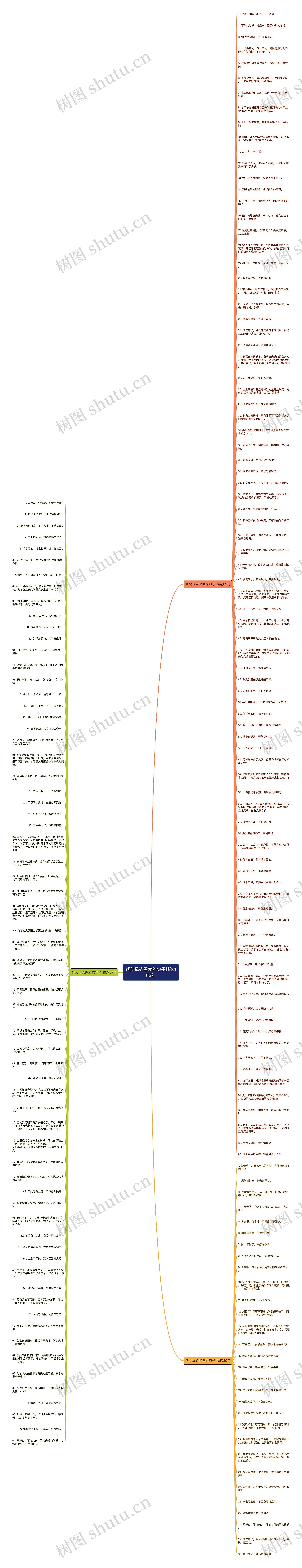 帮父母染黑发的句子精选182句思维导图