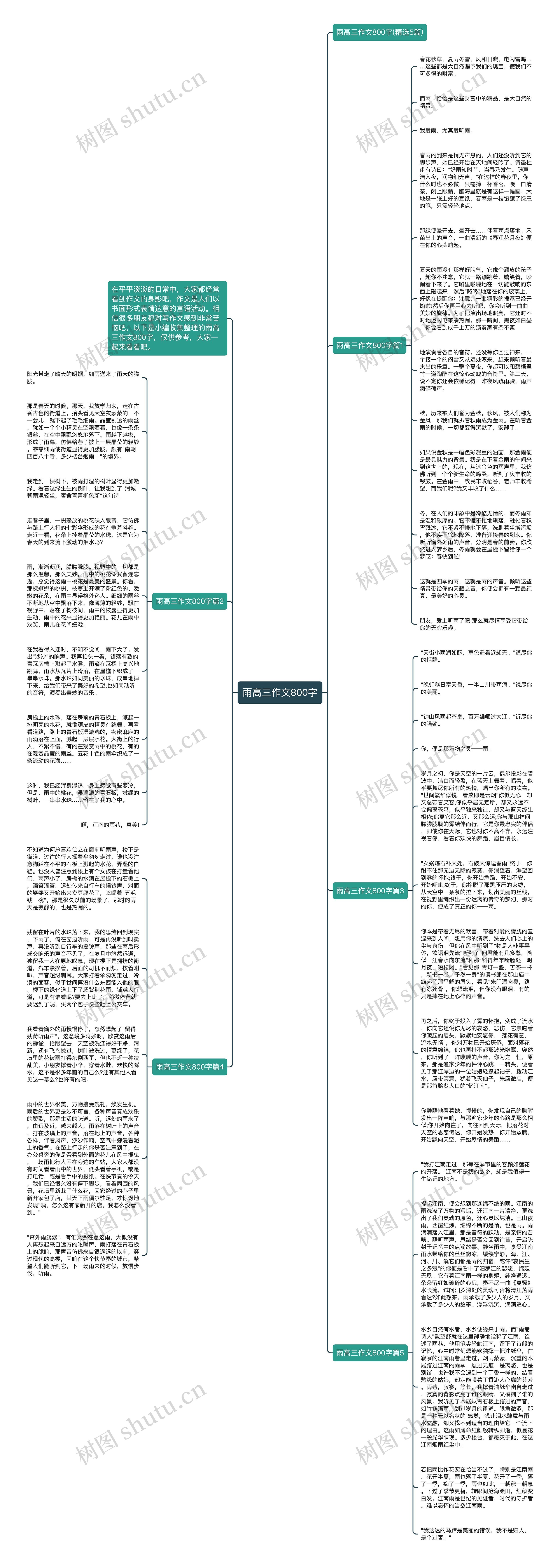 雨高三作文800字思维导图