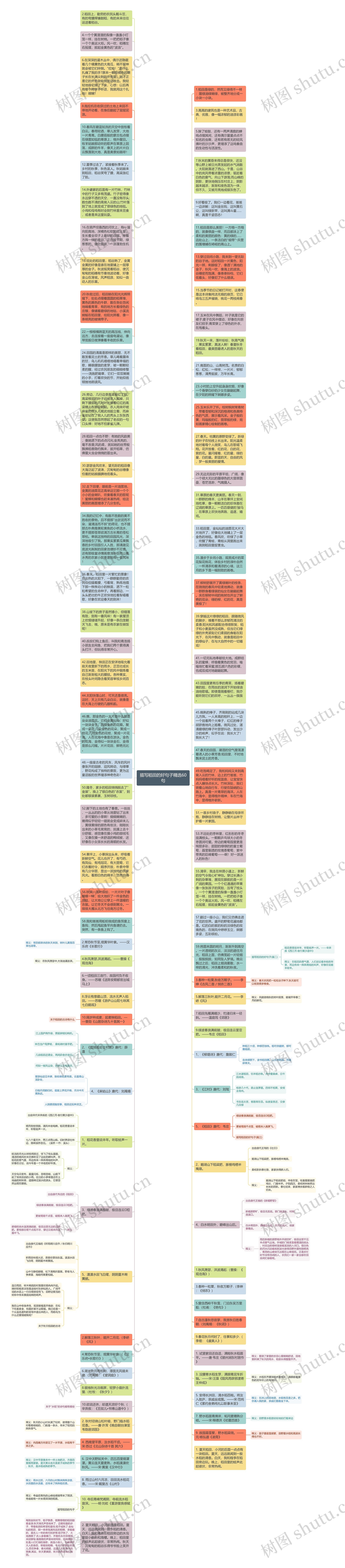 描写稻田的好句子精选60句思维导图高清图 描写稻田的好句子精选60句思维导图