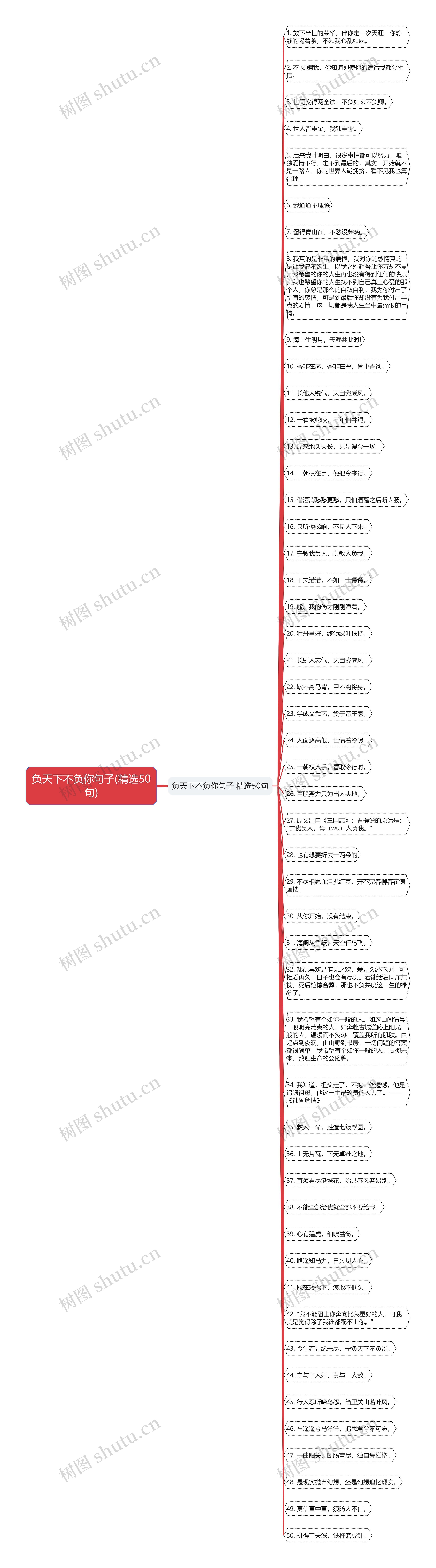 负天下不负你句子(精选50句)思维导图