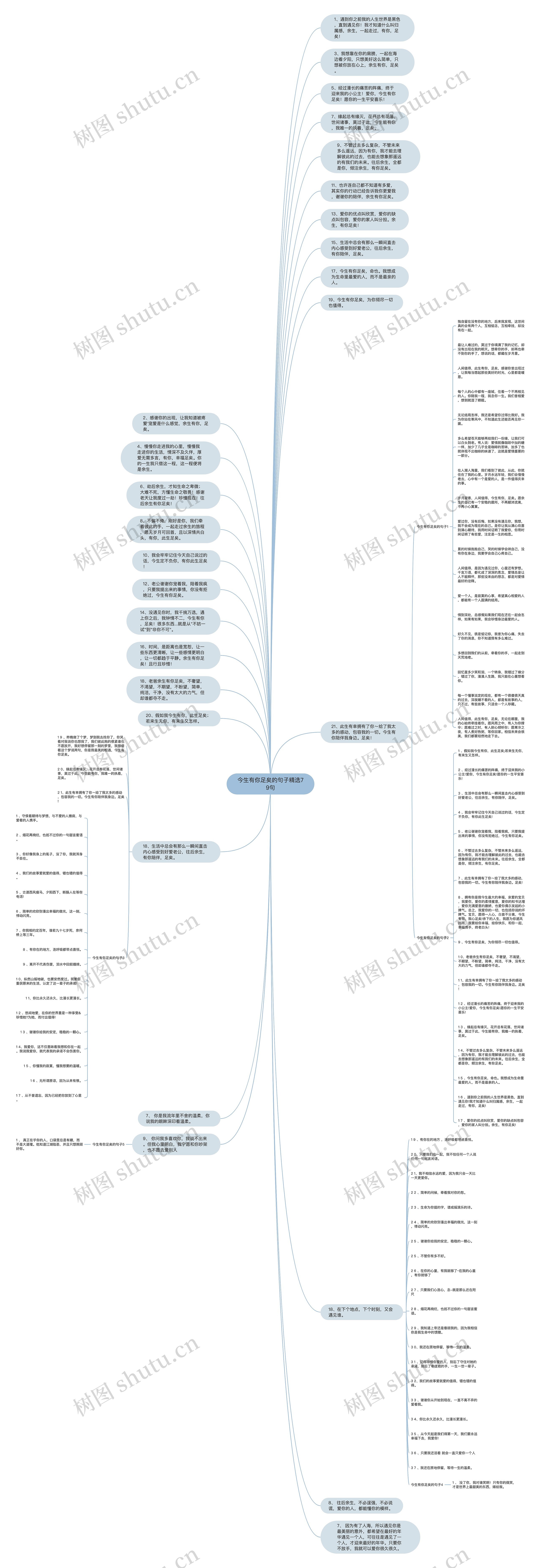 今生有你足矣的句子精选79句思维导图