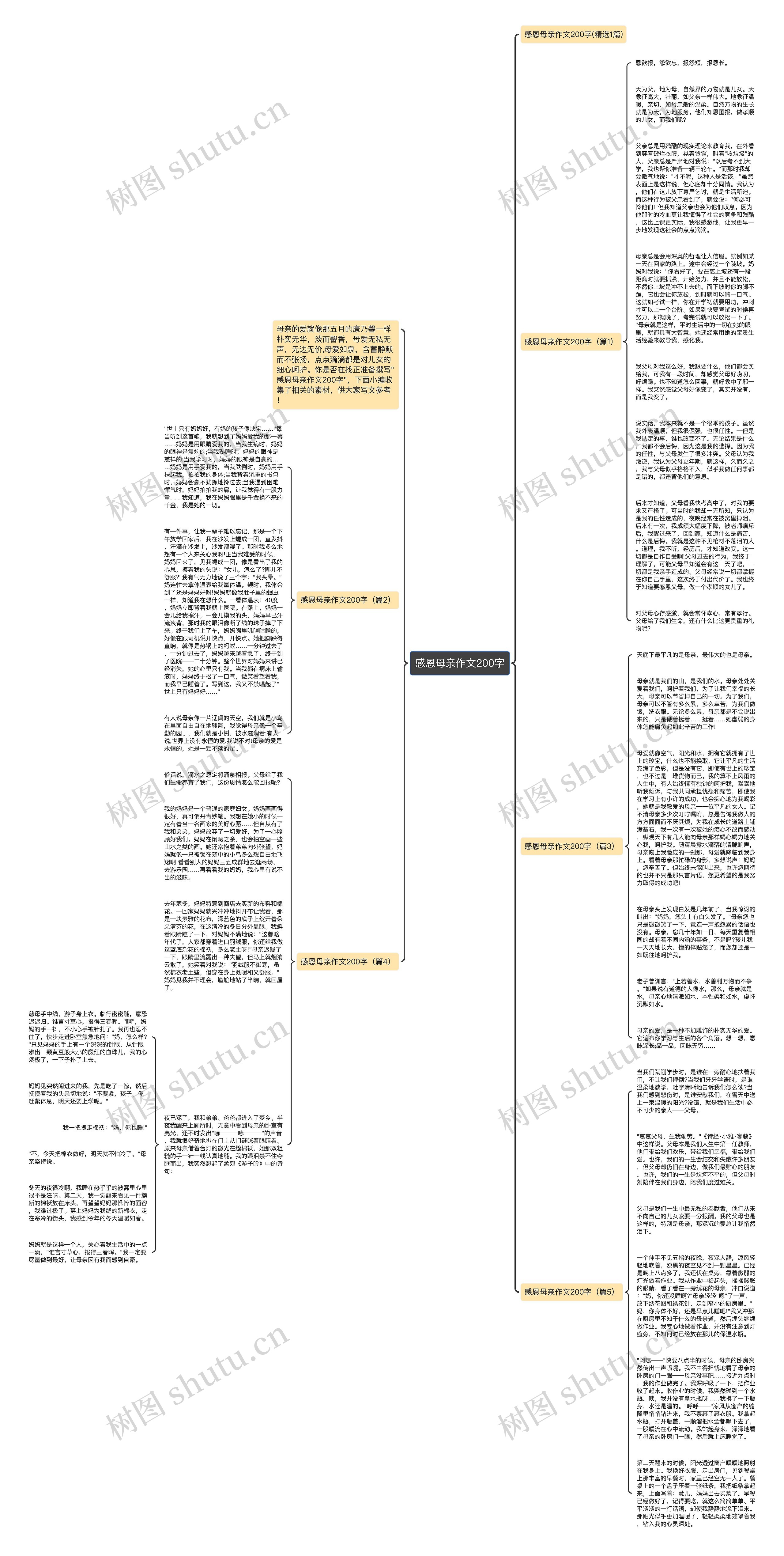 感恩母亲作文200字思维导图