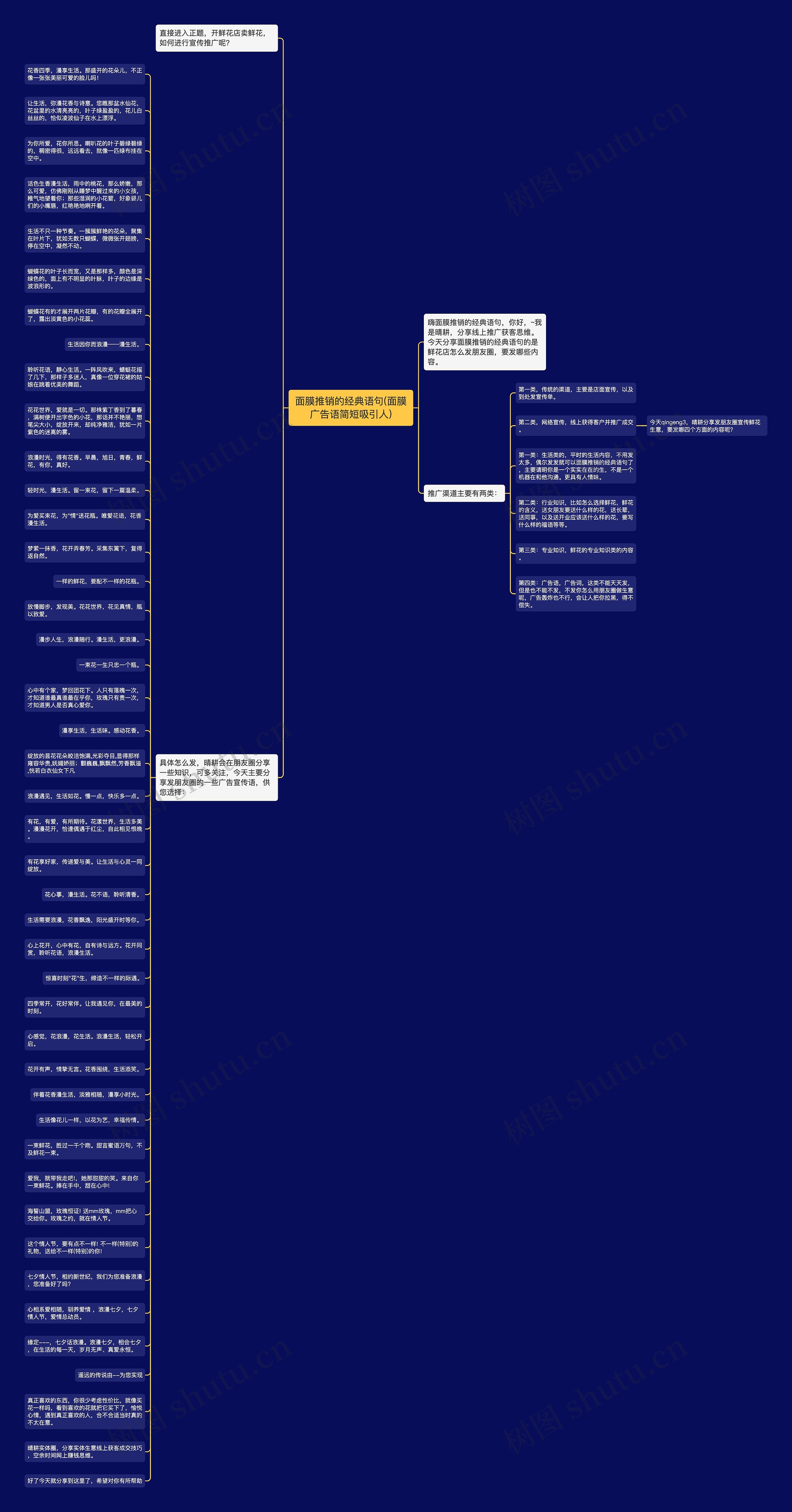 面膜推销的经典语句(面膜广告语简短吸引人)思维导图