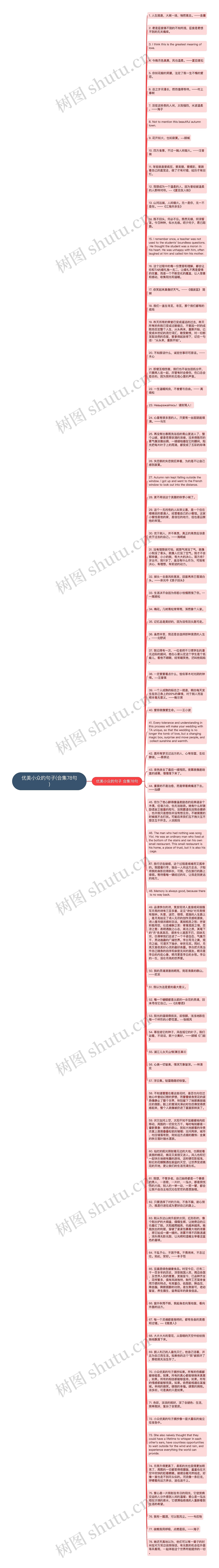 优美小众的句子(合集78句)思维导图