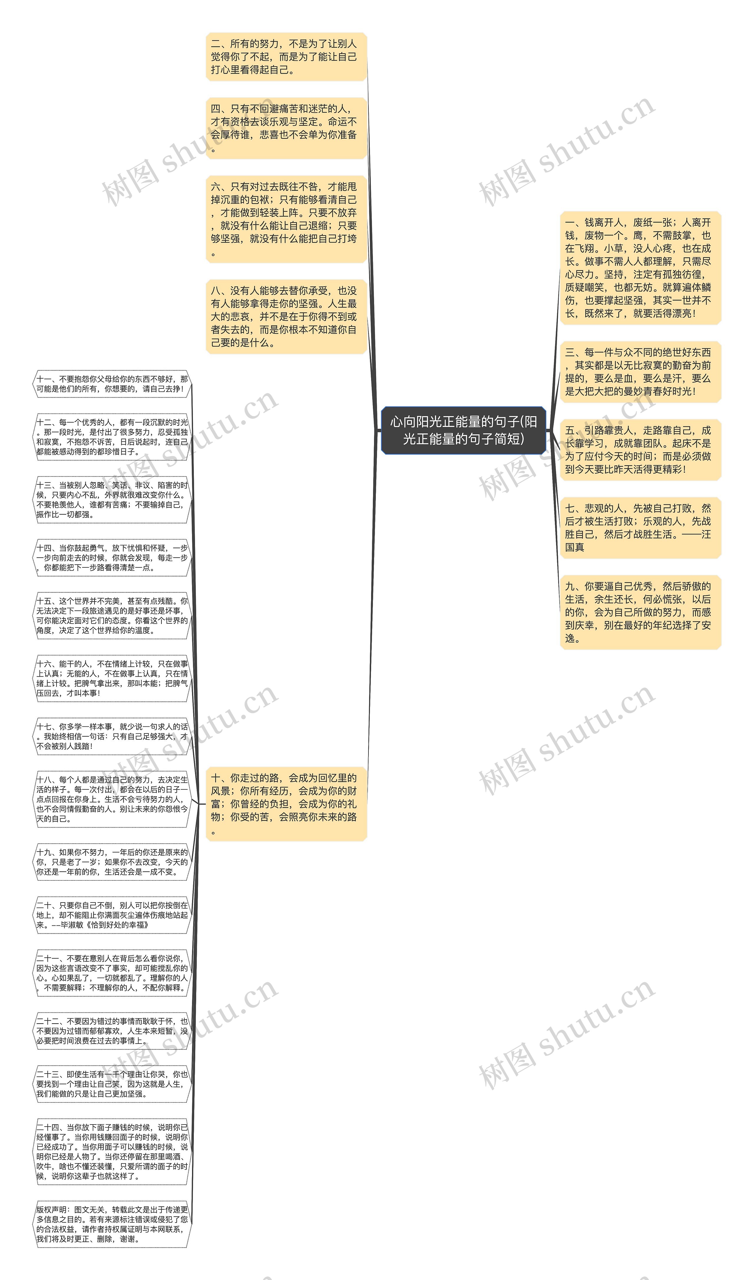 心向阳光正能量的句子(阳光正能量的句子简短)