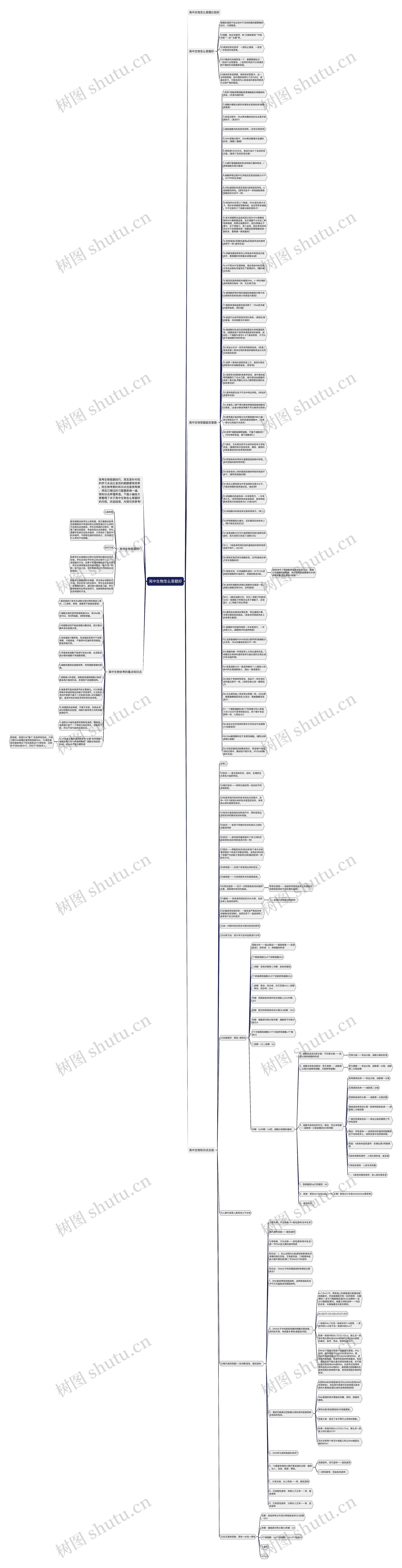 高中生物怎么答题好思维导图