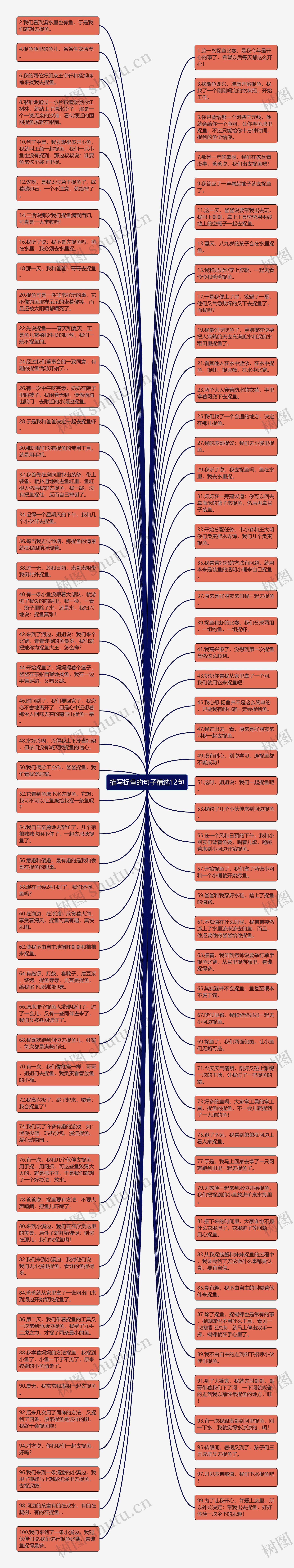 描写捉鱼的句子精选12句思维导图