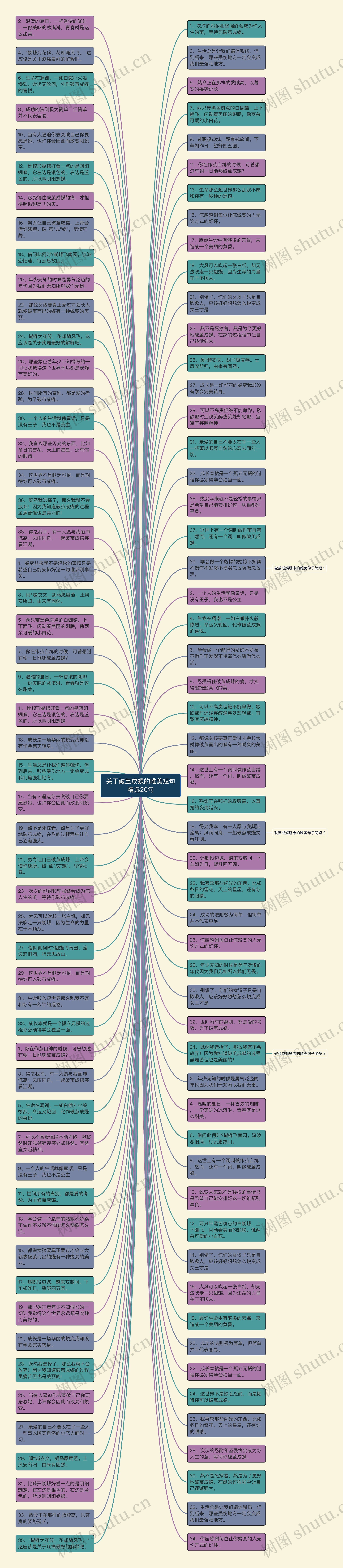 关于破茧成蝶的唯美短句精选20句思维导图