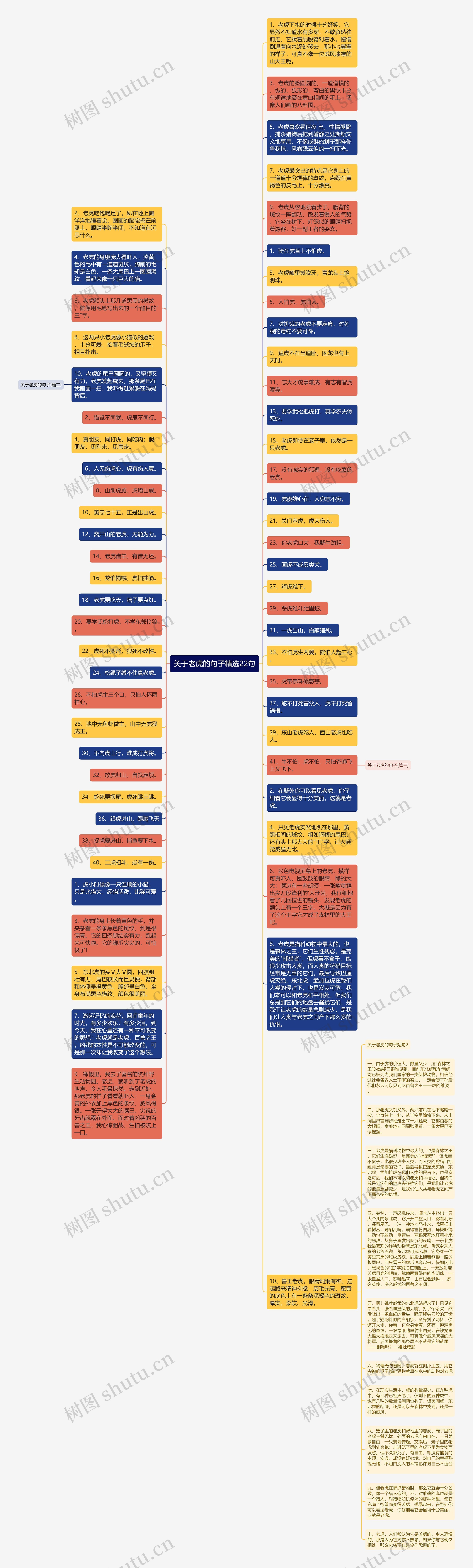 关于老虎的句子精选22句思维导图