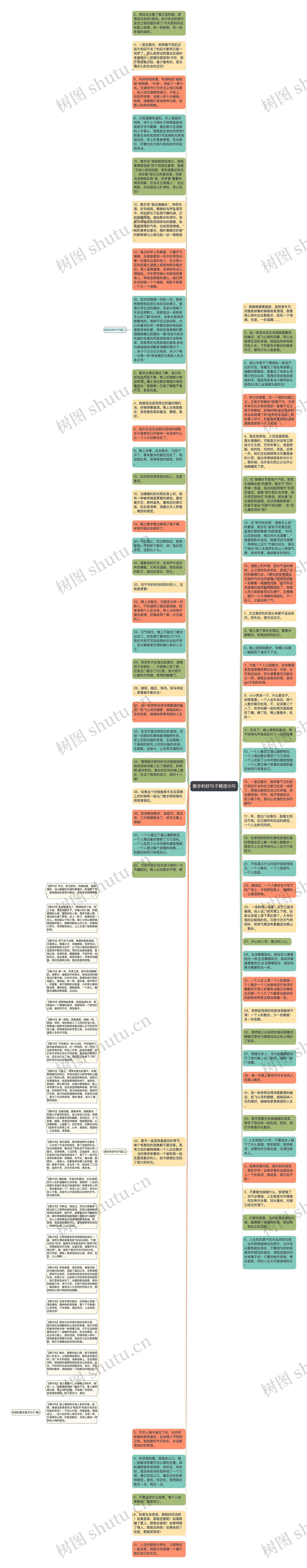 散步的好句子精选10句思维导图