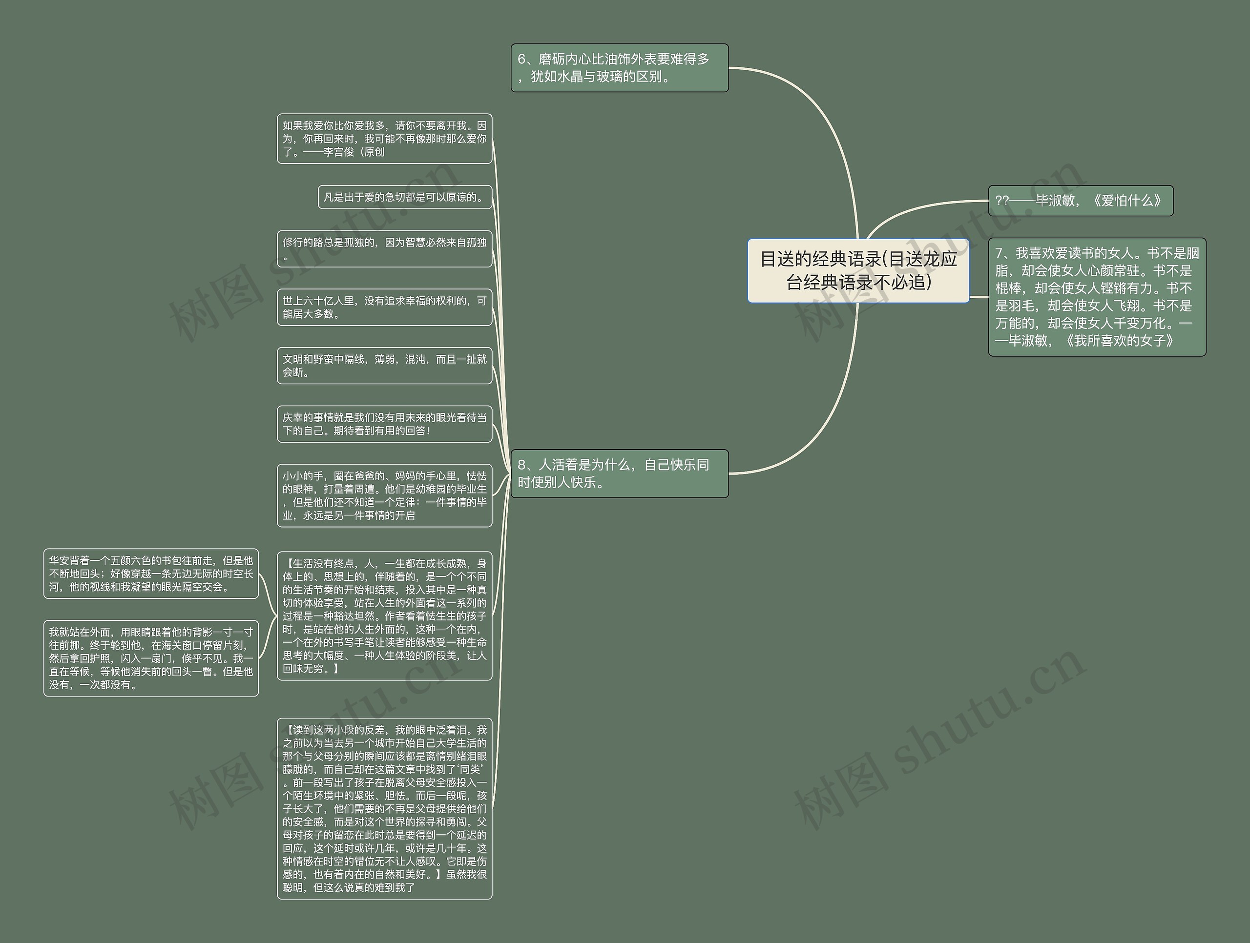 目送的经典语录(目送龙应台经典语录不必追)思维导图