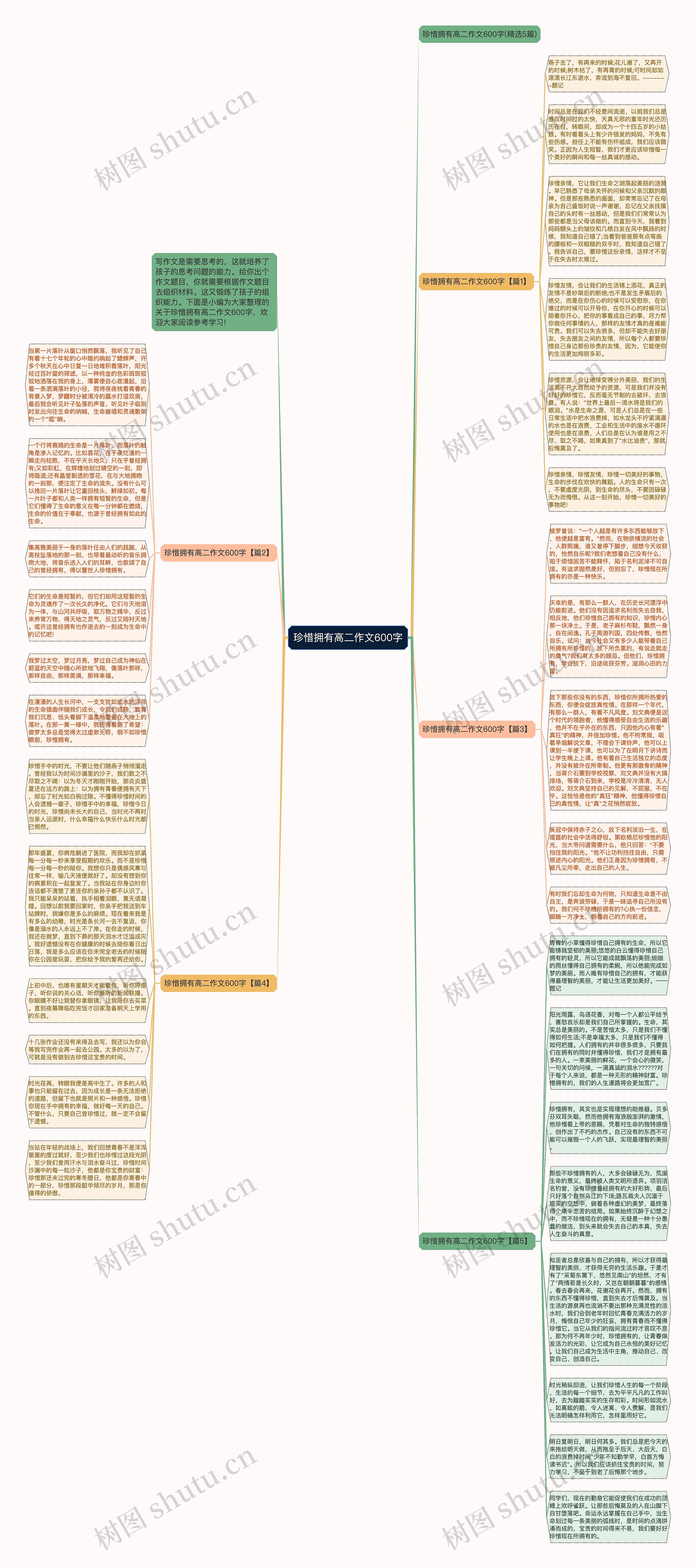 珍惜拥有高二作文600字思维导图
