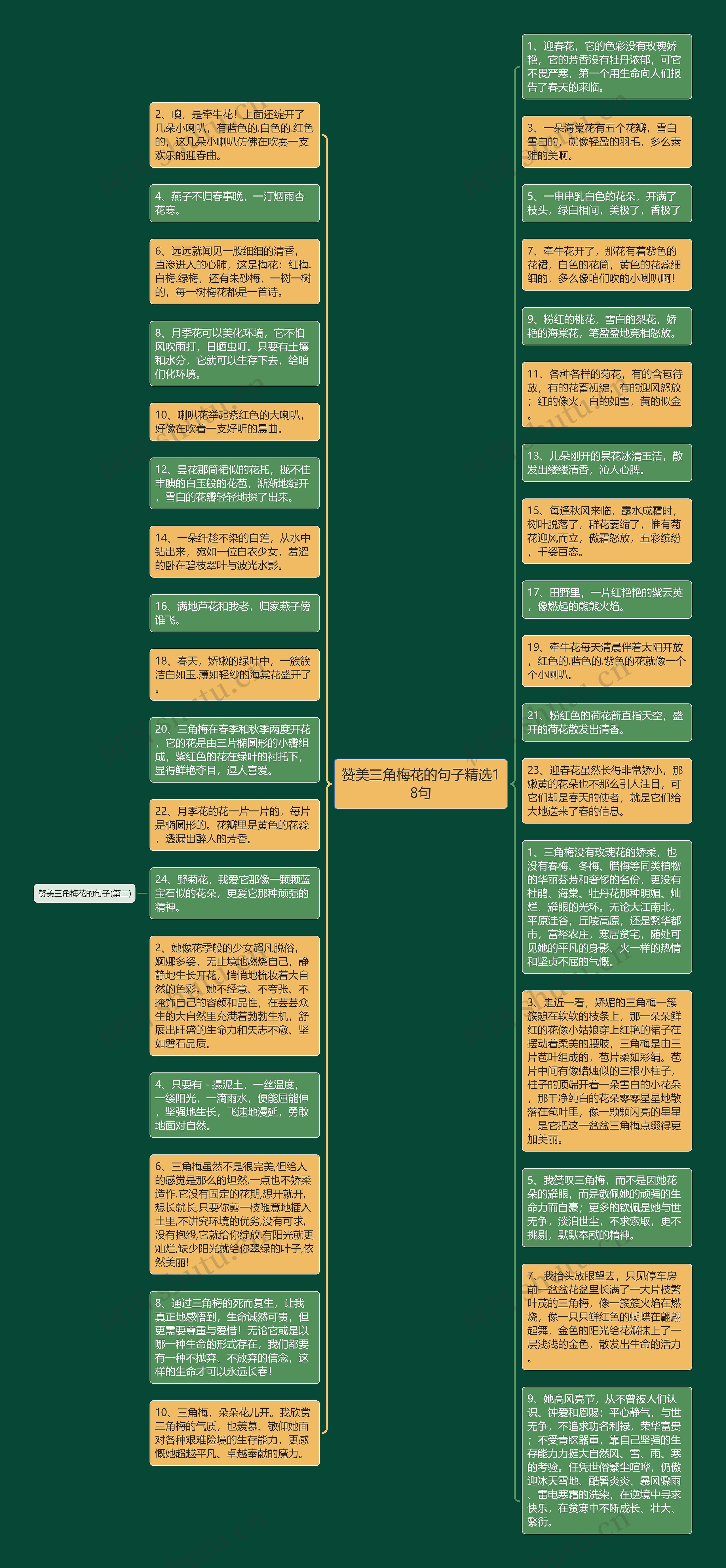 赞美三角梅花的句子精选18句思维导图