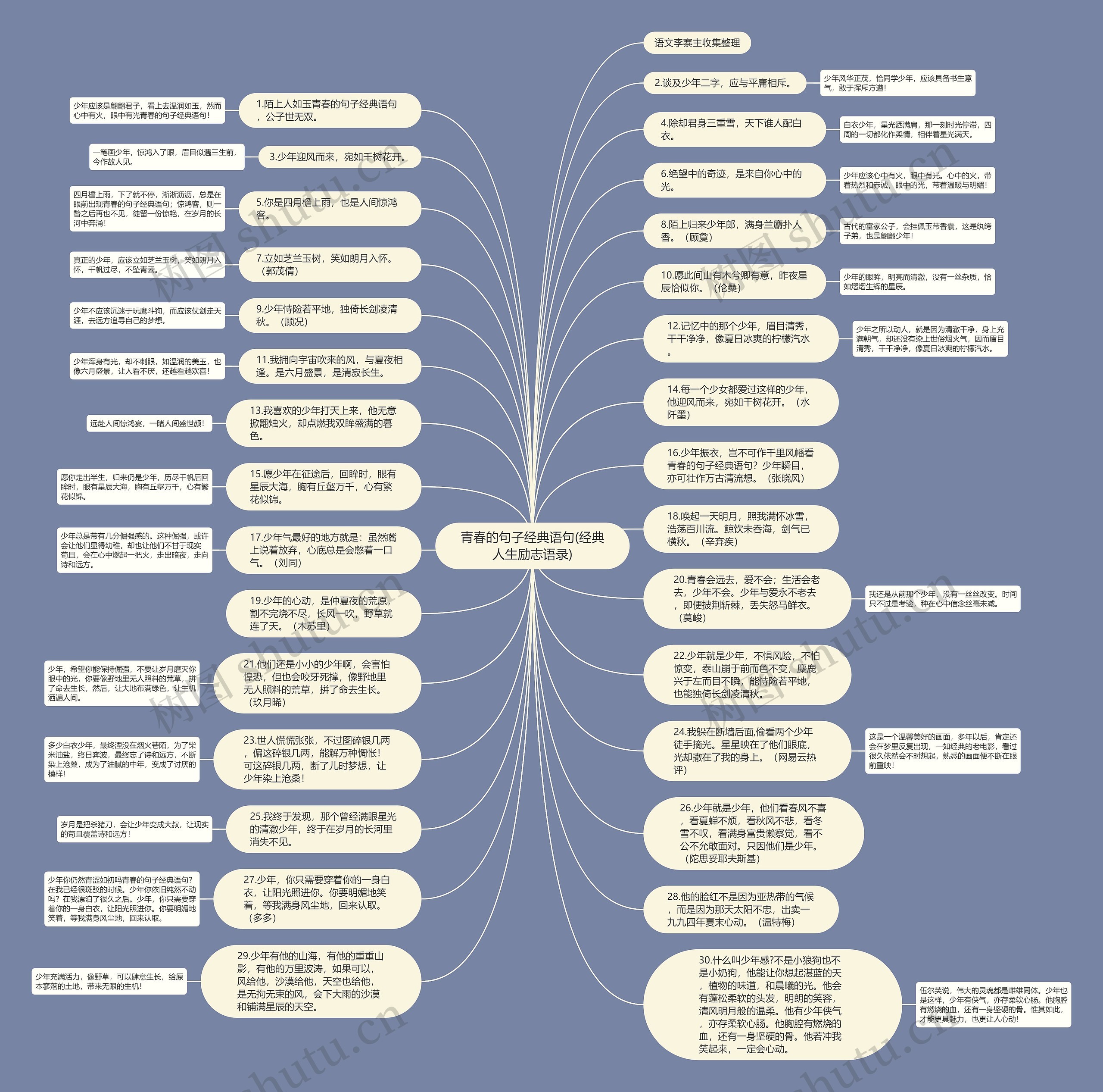 青春的句子经典语句(经典人生励志语录)思维导图