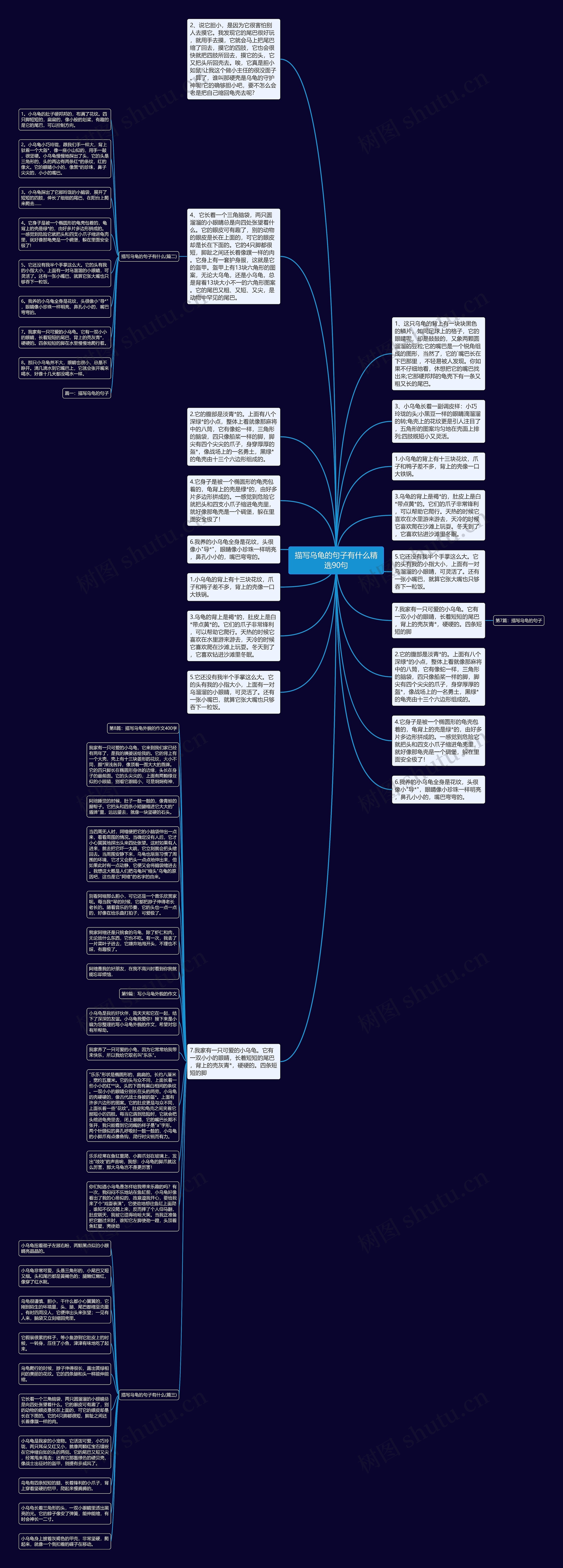 描写乌龟的句子有什么精选90句思维导图