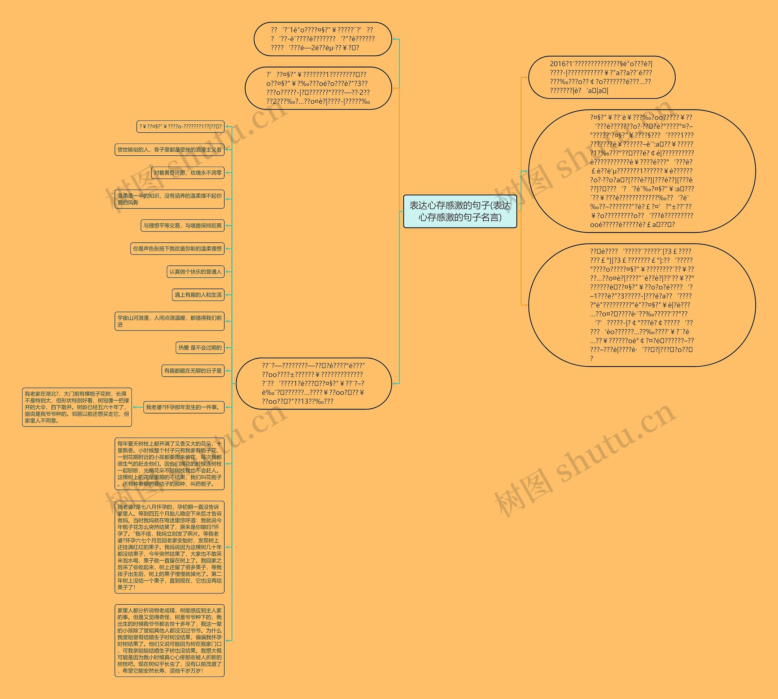 表达心存感激的句子(表达心存感激的句子名言)思维导图