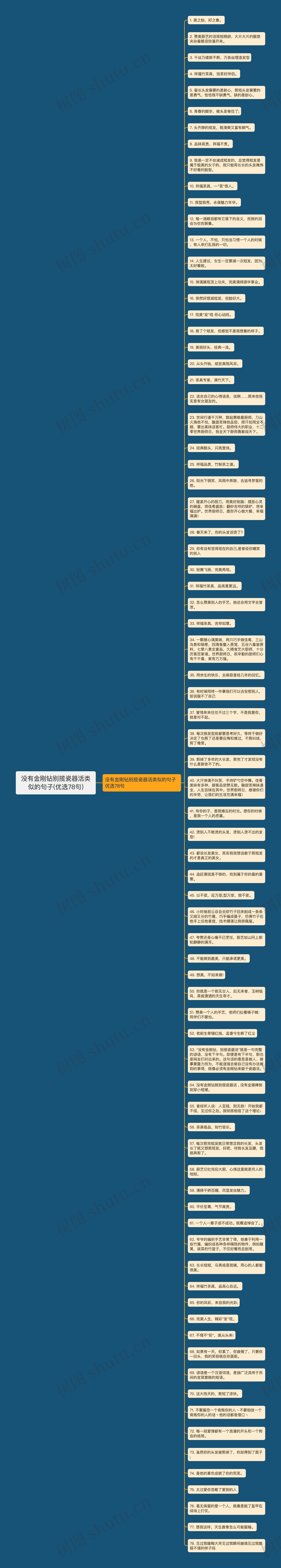 没有金刚钻别揽瓷器活类似的句子(优选78句)思维导图