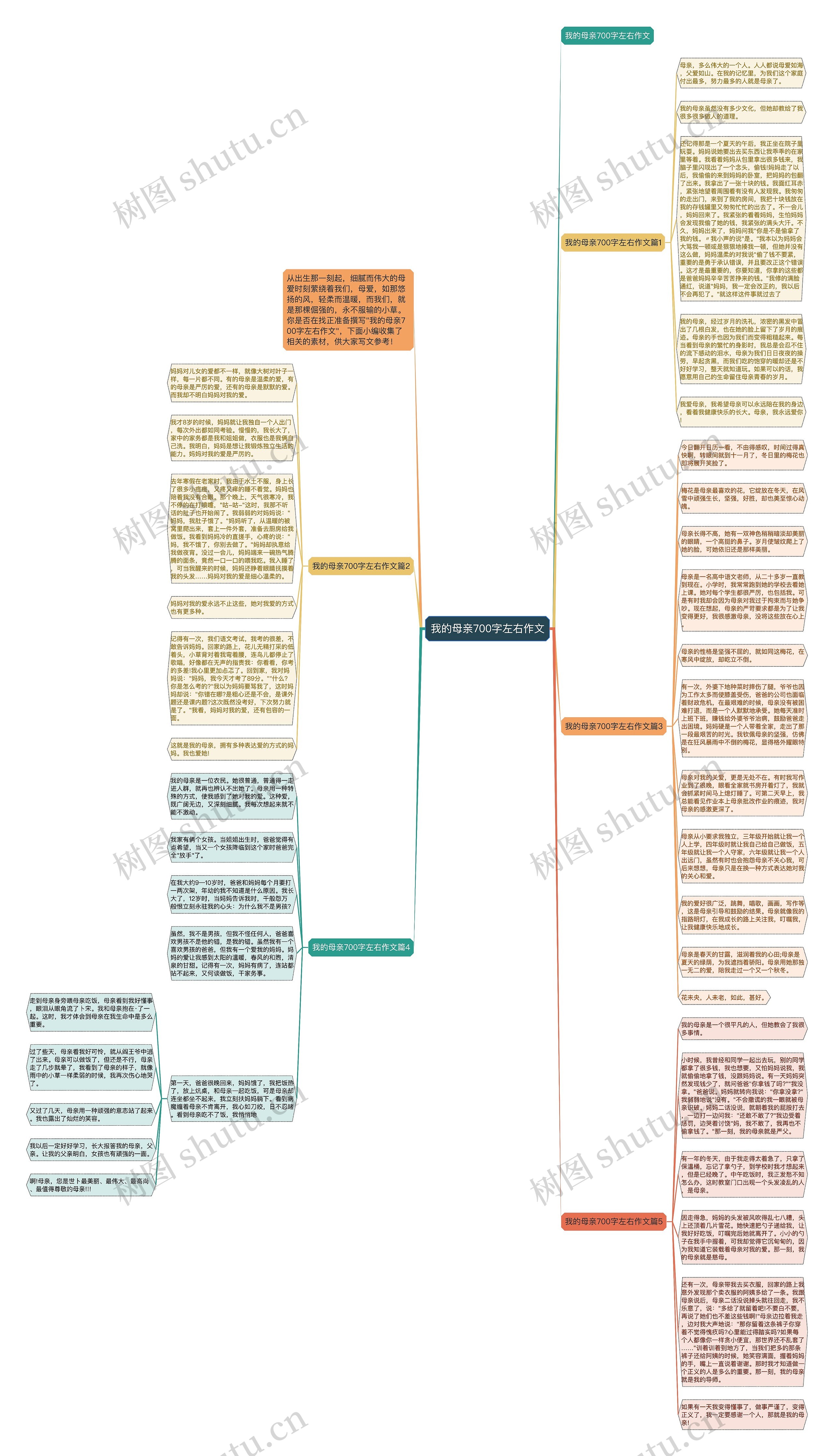 我的母亲700字左右作文思维导图