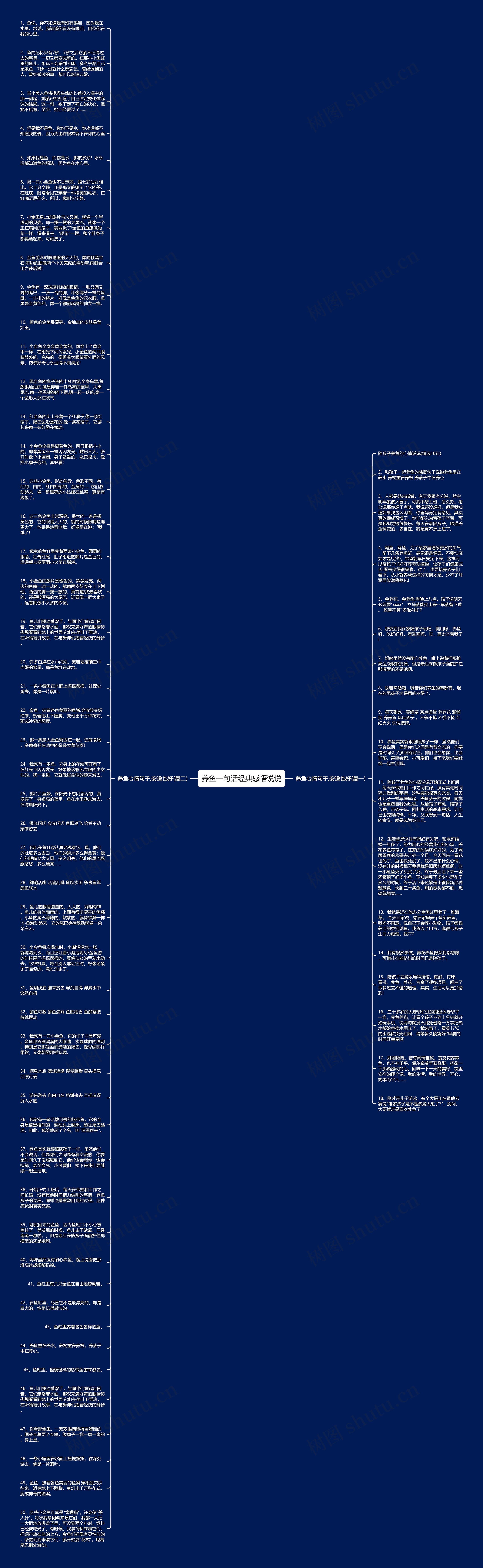 养鱼一句话经典感悟说说思维导图