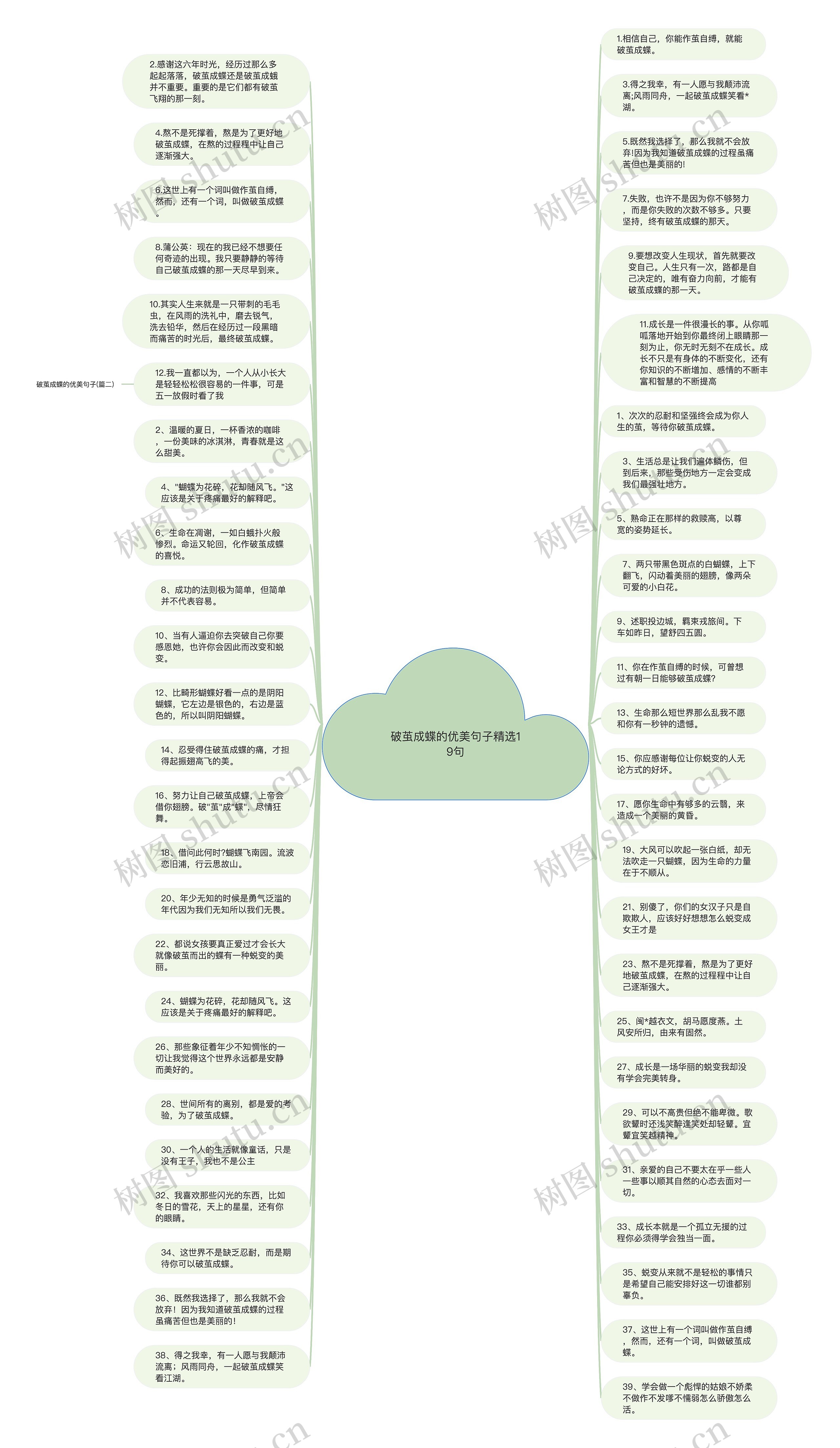 破茧成蝶的优美句子精选19句